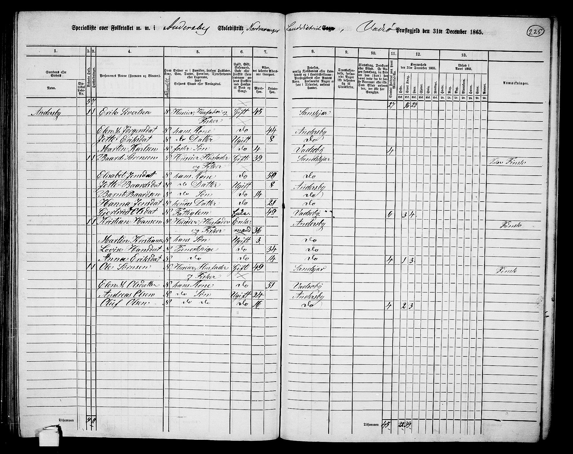 RA, 1865 census for Vadsø/Nord-Varanger, 1865, p. 49