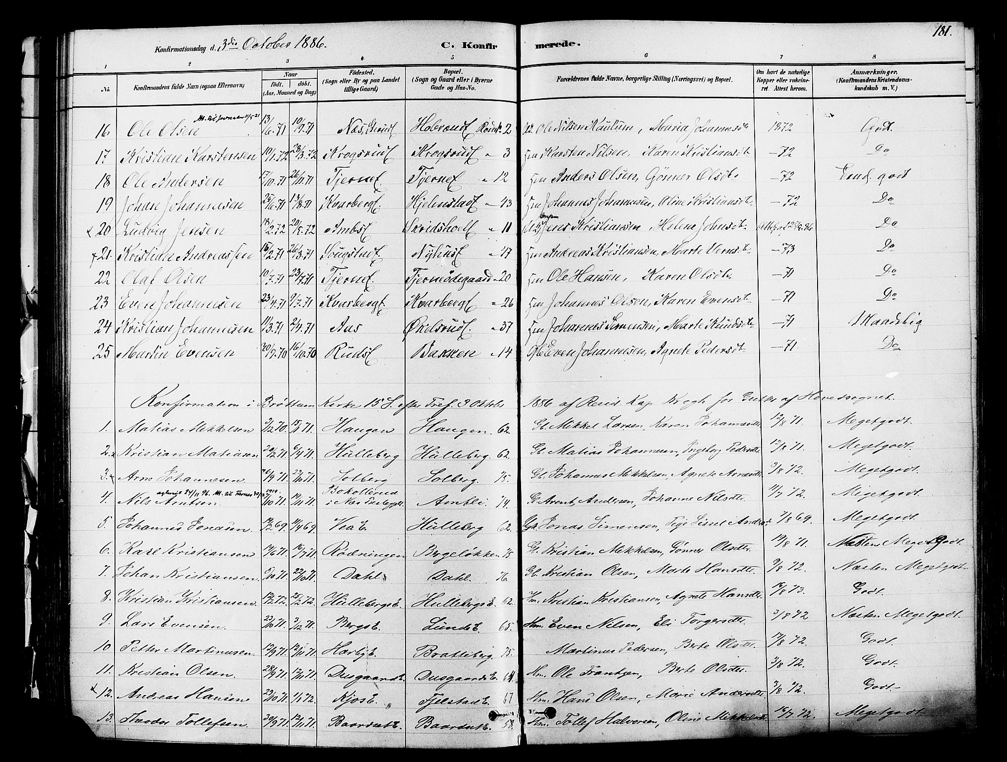 Ringsaker prestekontor, AV/SAH-PREST-014/K/Ka/L0012: Parish register (official) no. 12, 1879-1890, p. 181