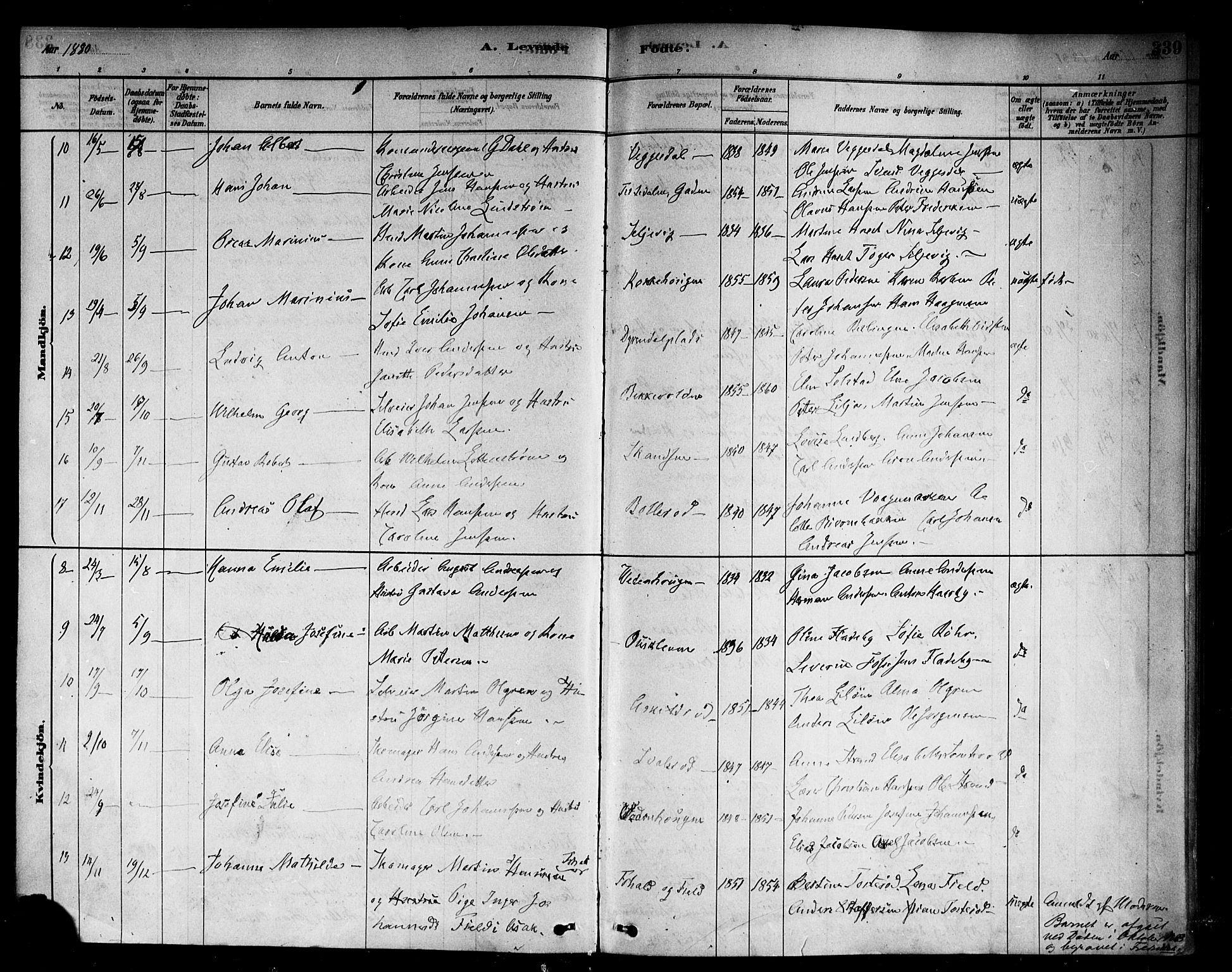 Berg prestekontor Kirkebøker, AV/SAO-A-10902/F/Fb/L0001: Parish register (official) no. II 1, 1878-1887, p. 339