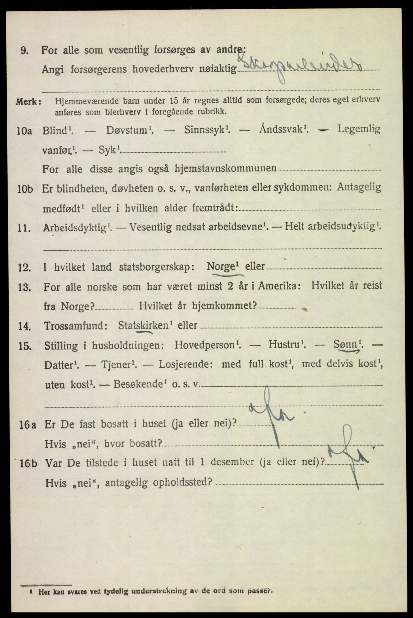 SAH, 1920 census for Lunner, 1920, p. 6738