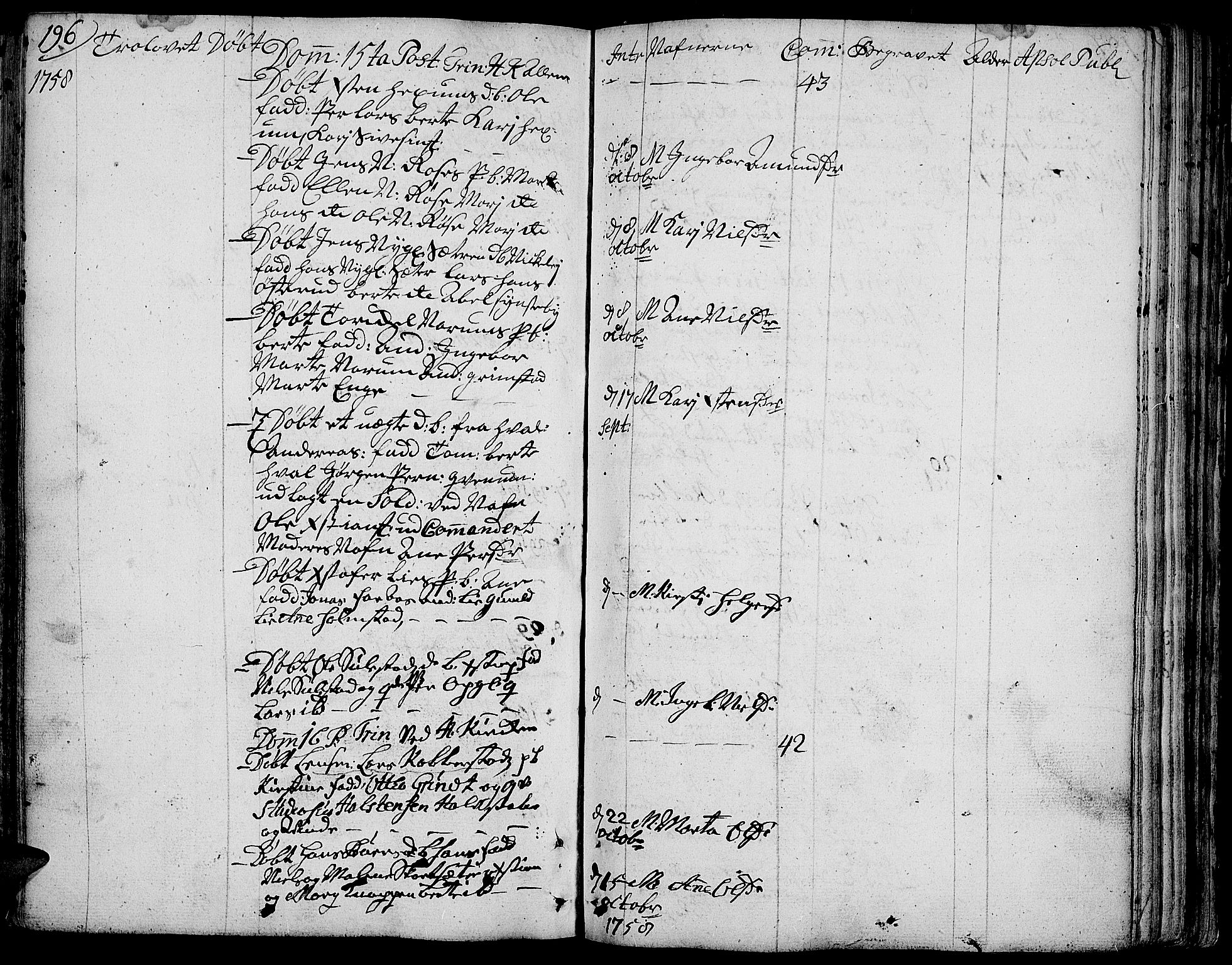 Toten prestekontor, SAH/PREST-102/H/Ha/Haa/L0004: Parish register (official) no. 4, 1751-1761, p. 196