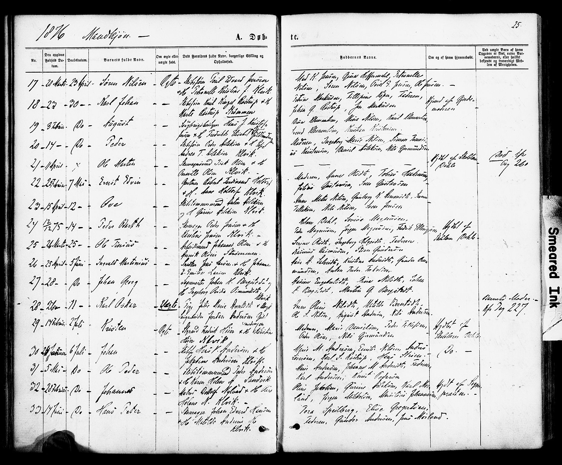 Hisøy sokneprestkontor, SAK/1111-0020/F/Fa/L0002: Parish register (official) no. A 2, 1872-1880, p. 25