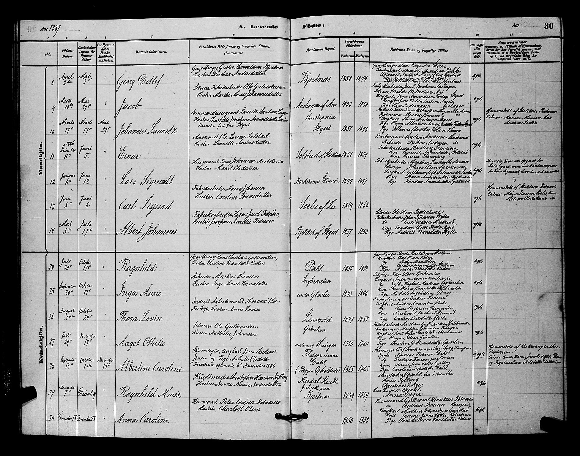 Nittedal prestekontor Kirkebøker, SAO/A-10365a/G/Ga/L0002: Parish register (copy) no. I 2, 1879-1901, p. 30
