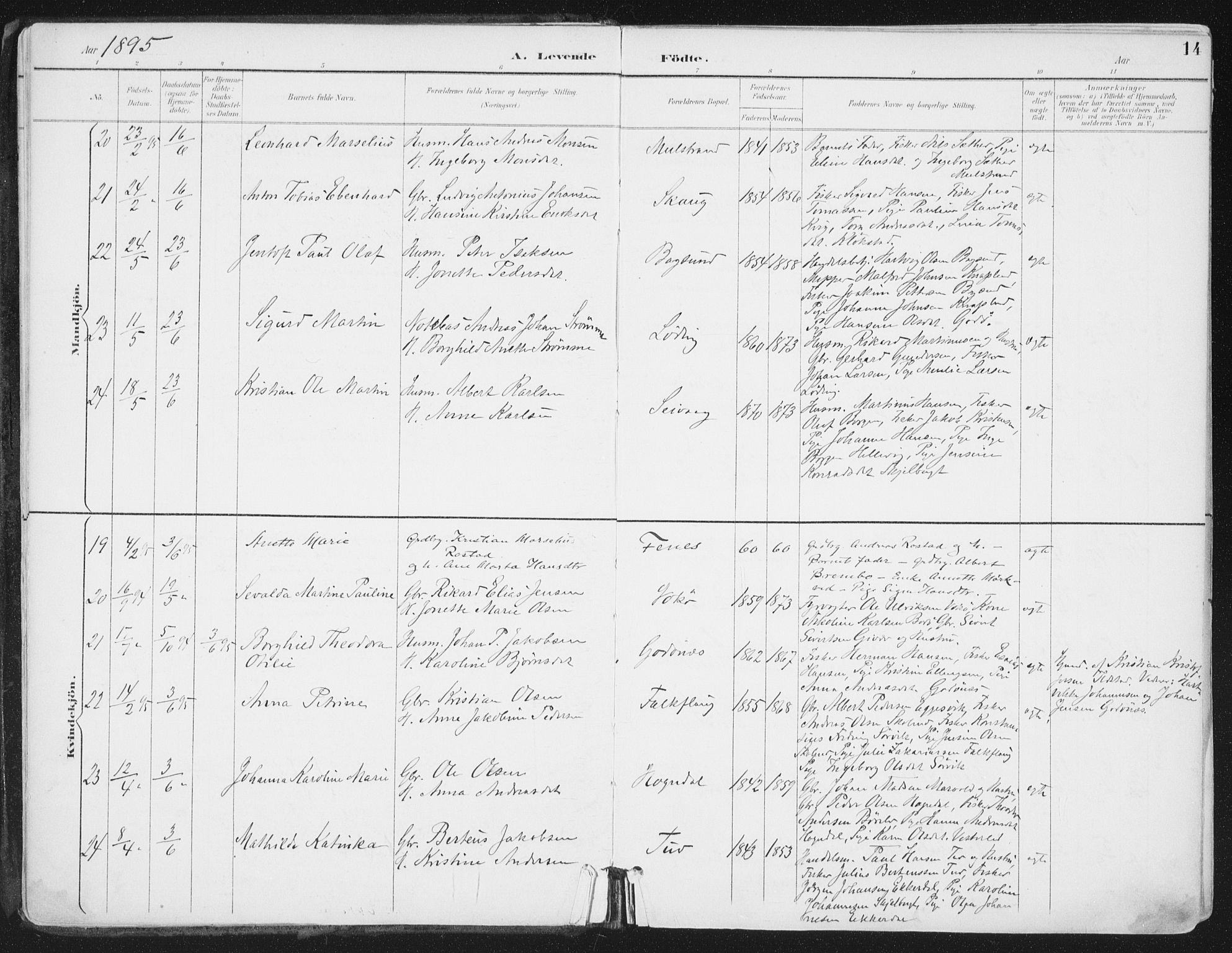 Ministerialprotokoller, klokkerbøker og fødselsregistre - Nordland, AV/SAT-A-1459/802/L0055: Parish register (official) no. 802A02, 1894-1915, p. 14