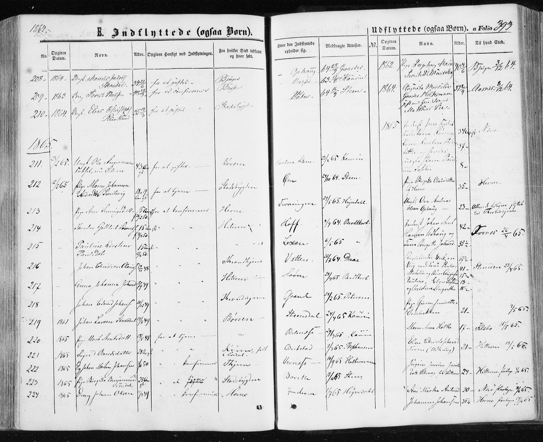 Ministerialprotokoller, klokkerbøker og fødselsregistre - Sør-Trøndelag, AV/SAT-A-1456/659/L0737: Parish register (official) no. 659A07, 1857-1875, p. 393