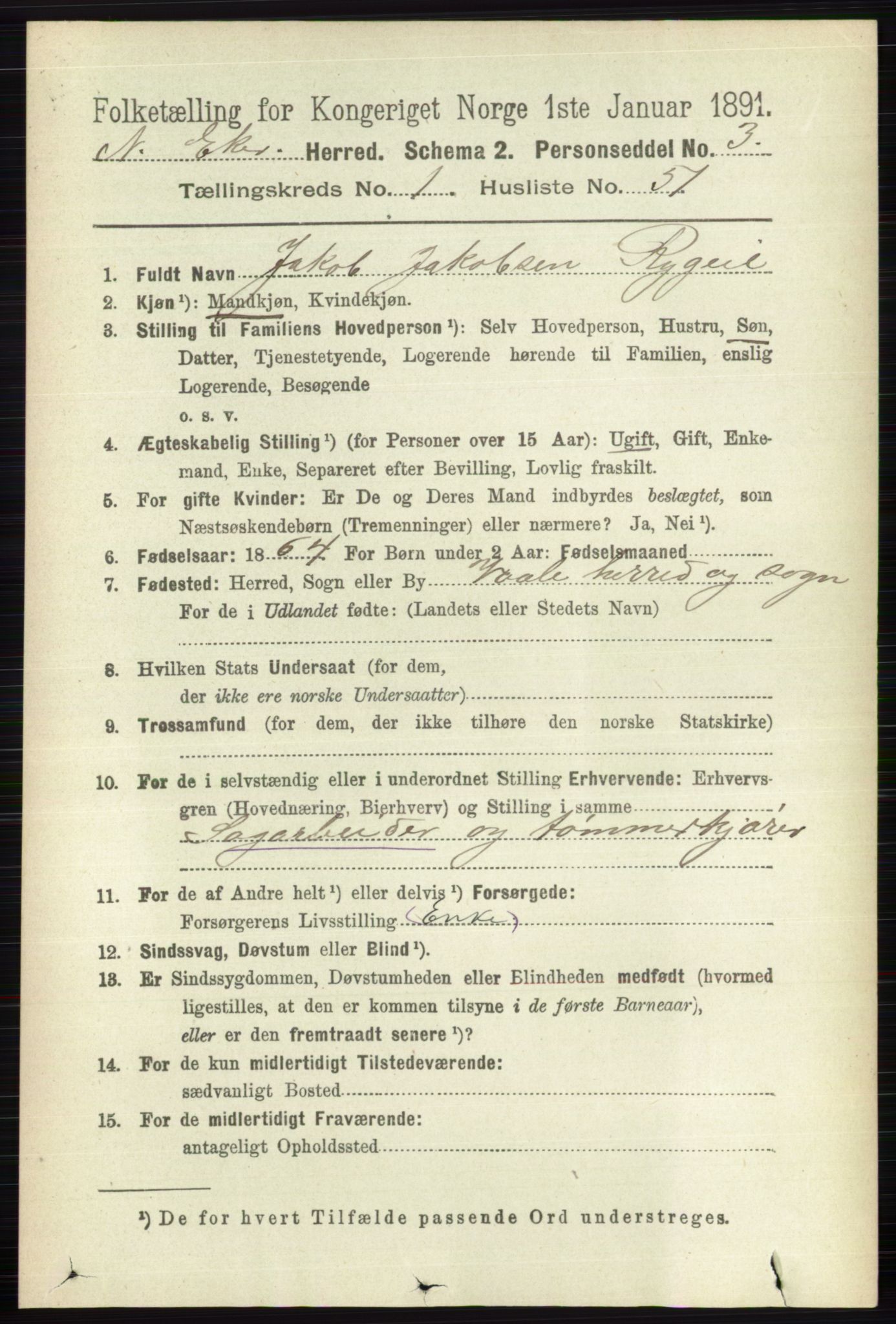 RA, 1891 census for 0625 Nedre Eiker, 1891, p. 358