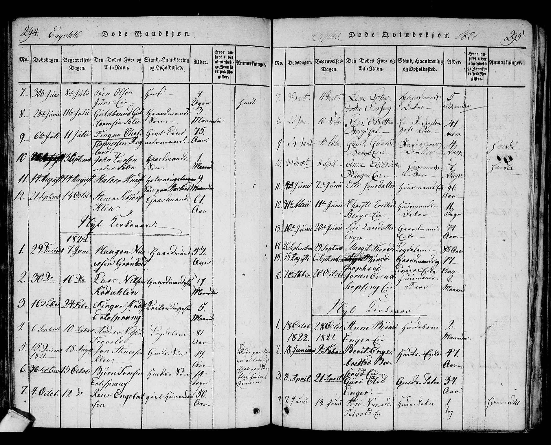 Sigdal kirkebøker, AV/SAKO-A-245/F/Fa/L0005: Parish register (official) no. I 5 /2, 1815-1829, p. 294-295