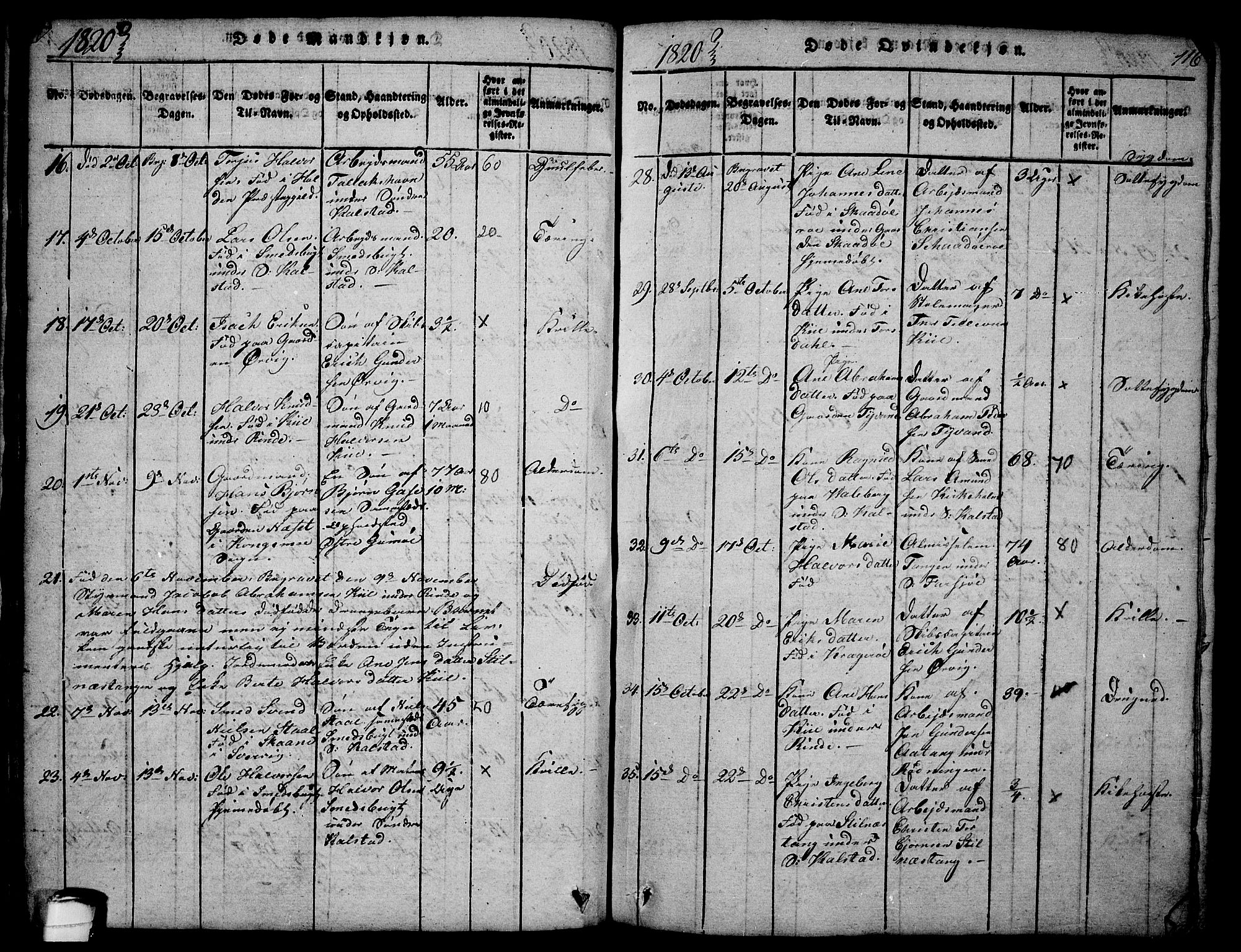 Sannidal kirkebøker, SAKO/A-296/F/Fa/L0004: Parish register (official) no. 4, 1814-1829, p. 116