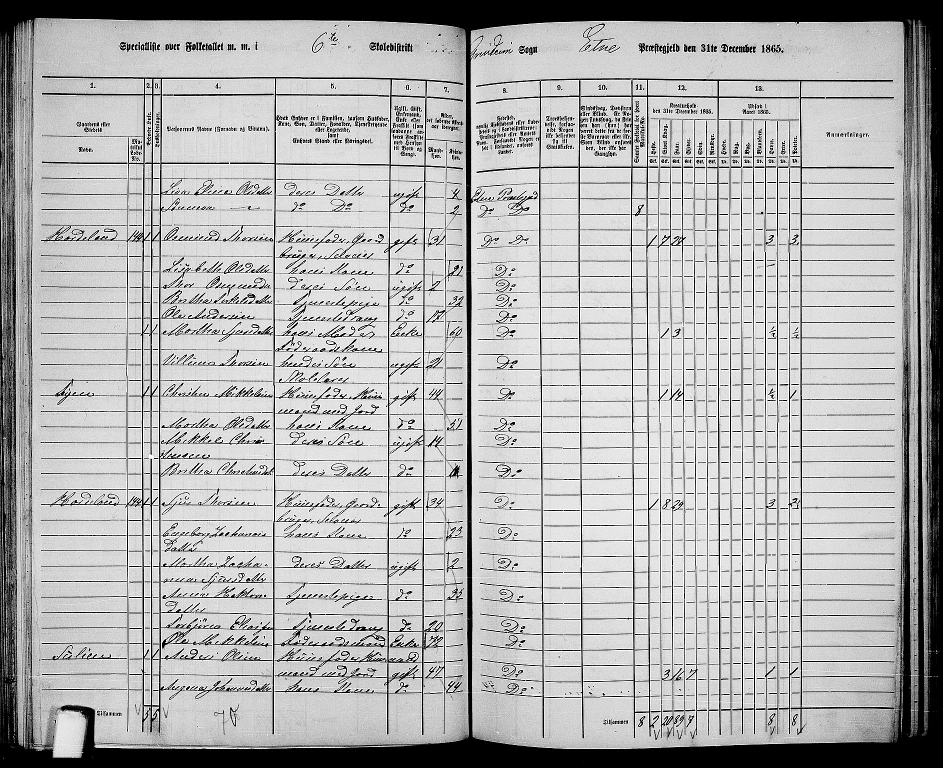 RA, 1865 census for Etne, 1865, p. 97