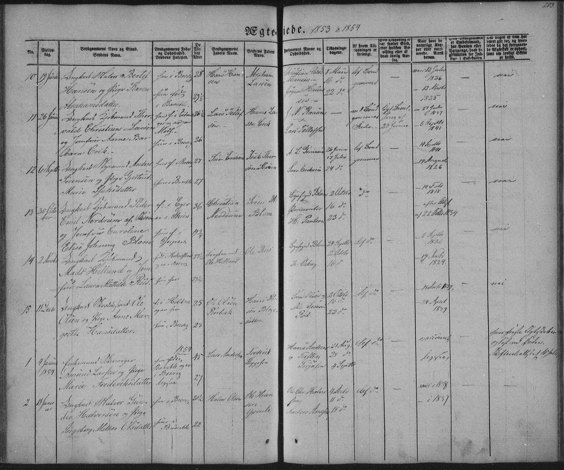 Brevik kirkebøker, AV/SAKO-A-255/F/Fa/L0005: Parish register (official) no. 5, 1847-1865, p. 203