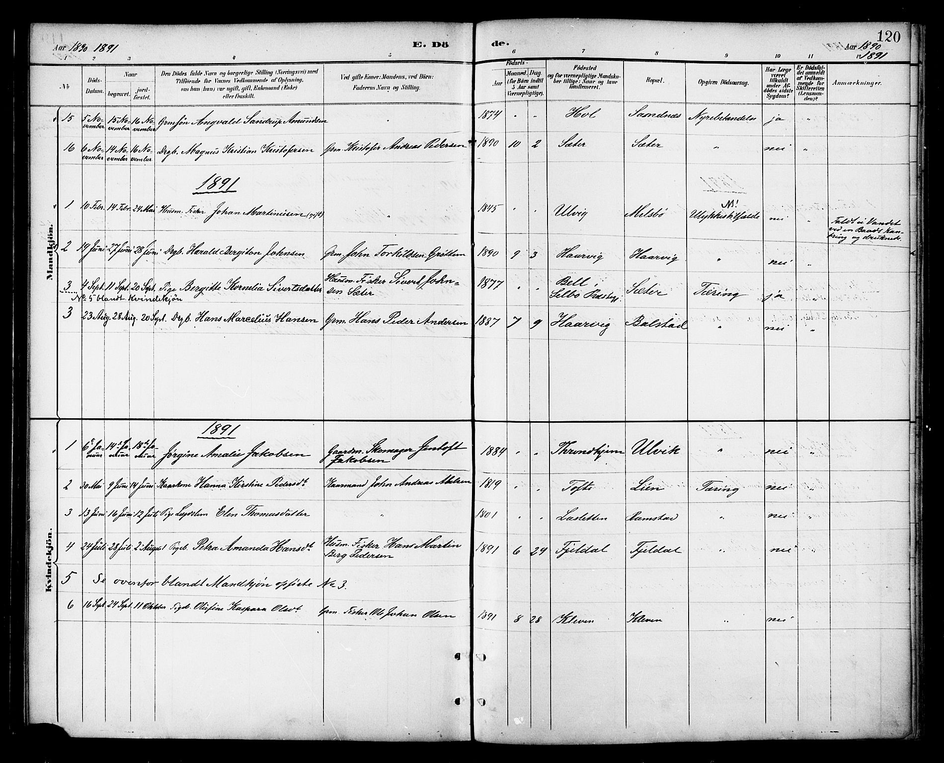 Ministerialprotokoller, klokkerbøker og fødselsregistre - Nordland, AV/SAT-A-1459/865/L0924: Parish register (official) no. 865A02, 1885-1896, p. 120