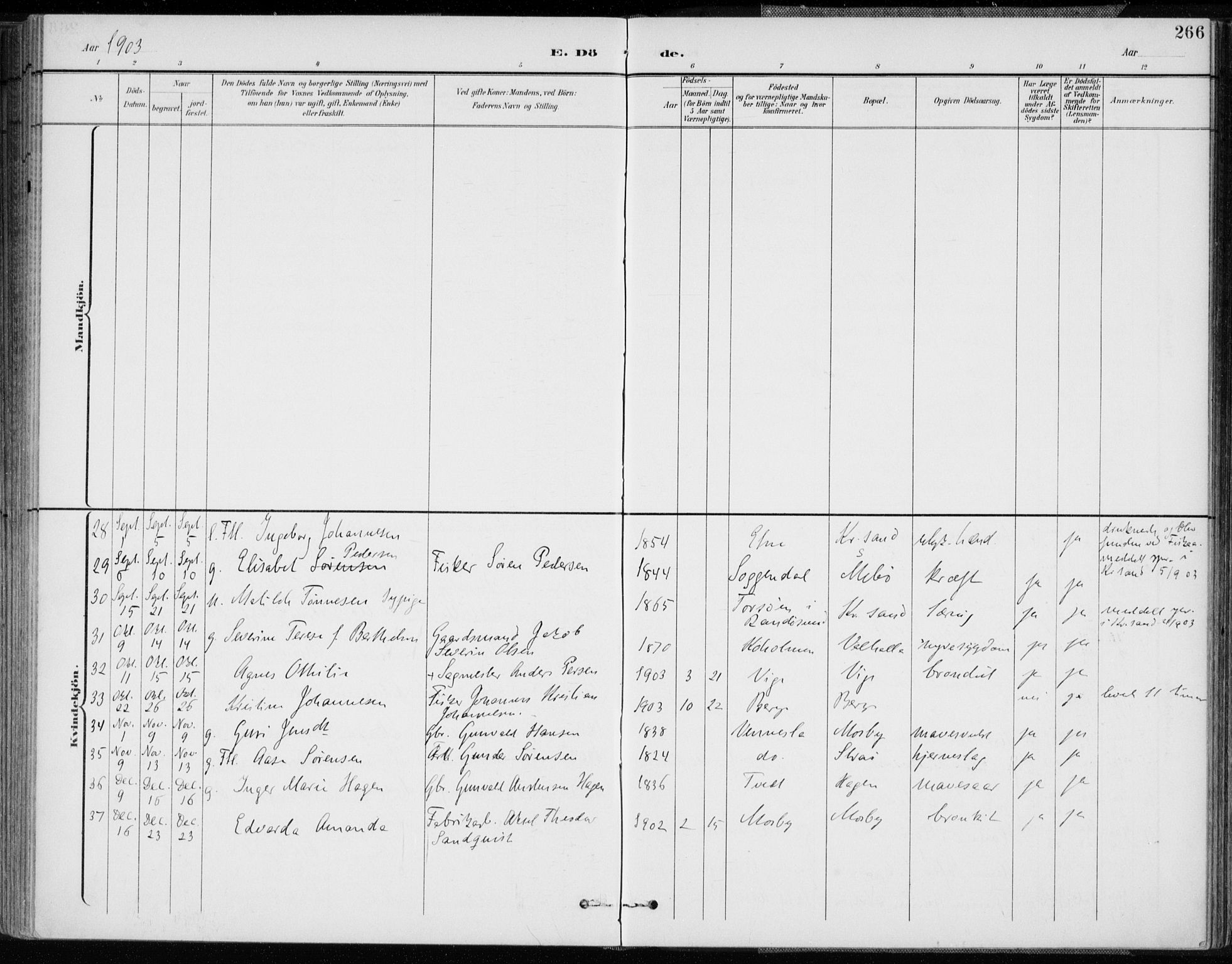 Oddernes sokneprestkontor, AV/SAK-1111-0033/F/Fa/Faa/L0010: Parish register (official) no. A 10, 1897-1911, p. 266