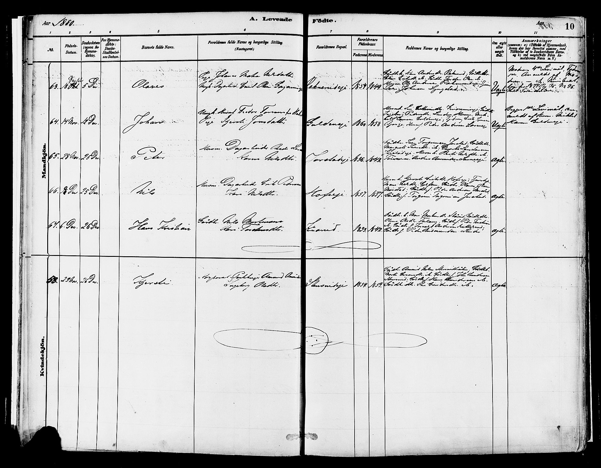 Gran prestekontor, SAH/PREST-112/H/Ha/Haa/L0014: Parish register (official) no. 14, 1880-1889, p. 10