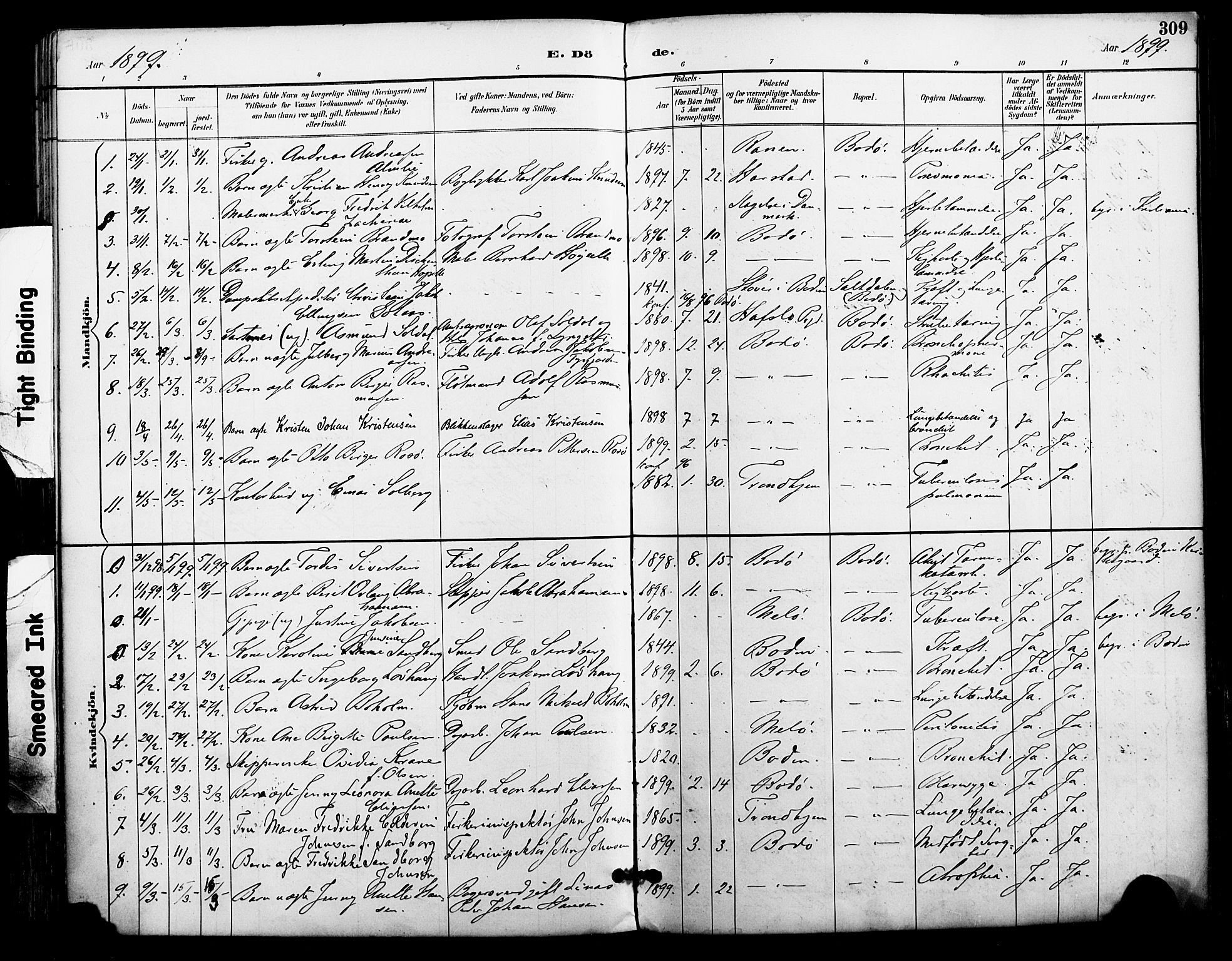 Ministerialprotokoller, klokkerbøker og fødselsregistre - Nordland, SAT/A-1459/801/L0010: Parish register (official) no. 801A10, 1888-1899, p. 309