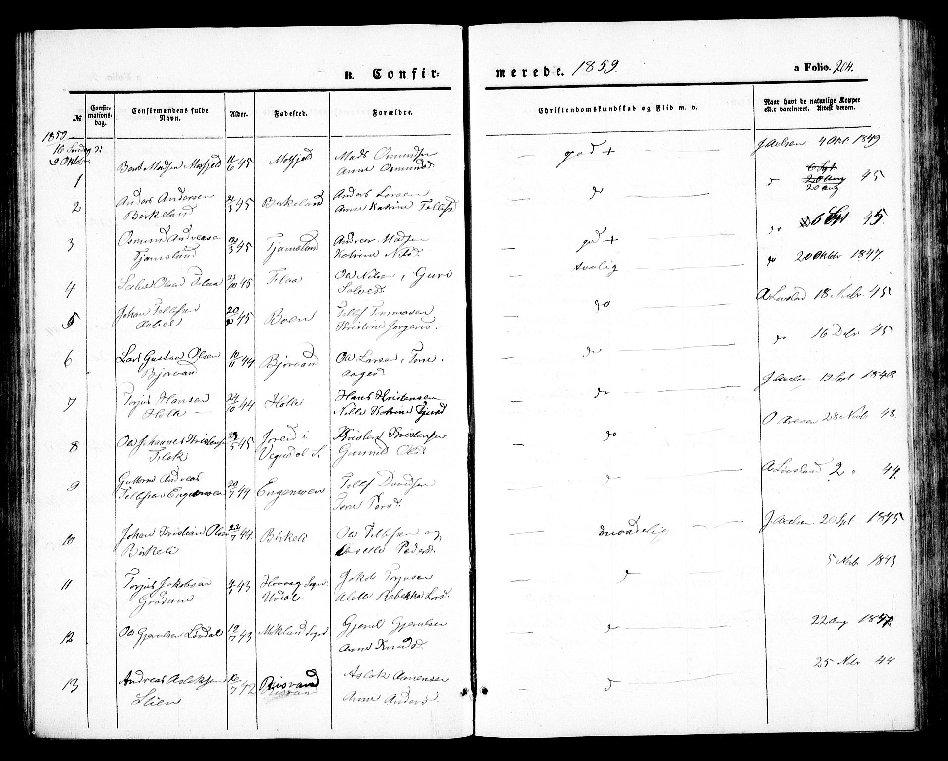 Birkenes sokneprestkontor, SAK/1111-0004/F/Fb/L0002: Parish register (copy) no. B 2, 1849-1876, p. 204