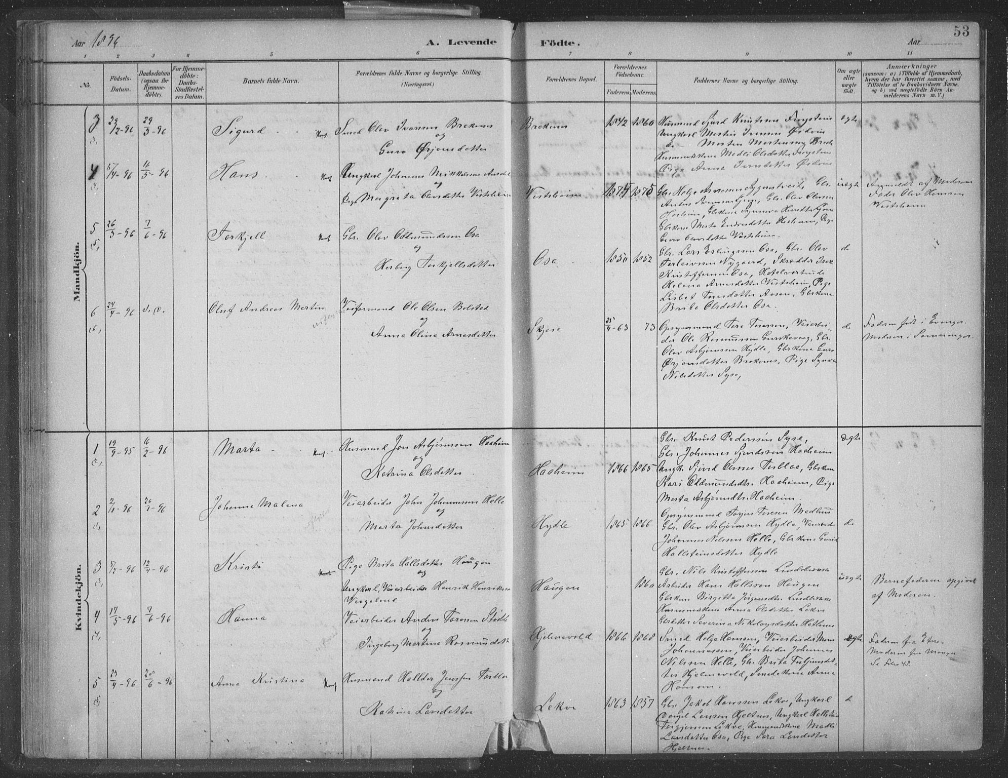 Ulvik sokneprestembete, SAB/A-78801/H/Hab: Parish register (copy) no. A 3, 1883-1908, p. 53