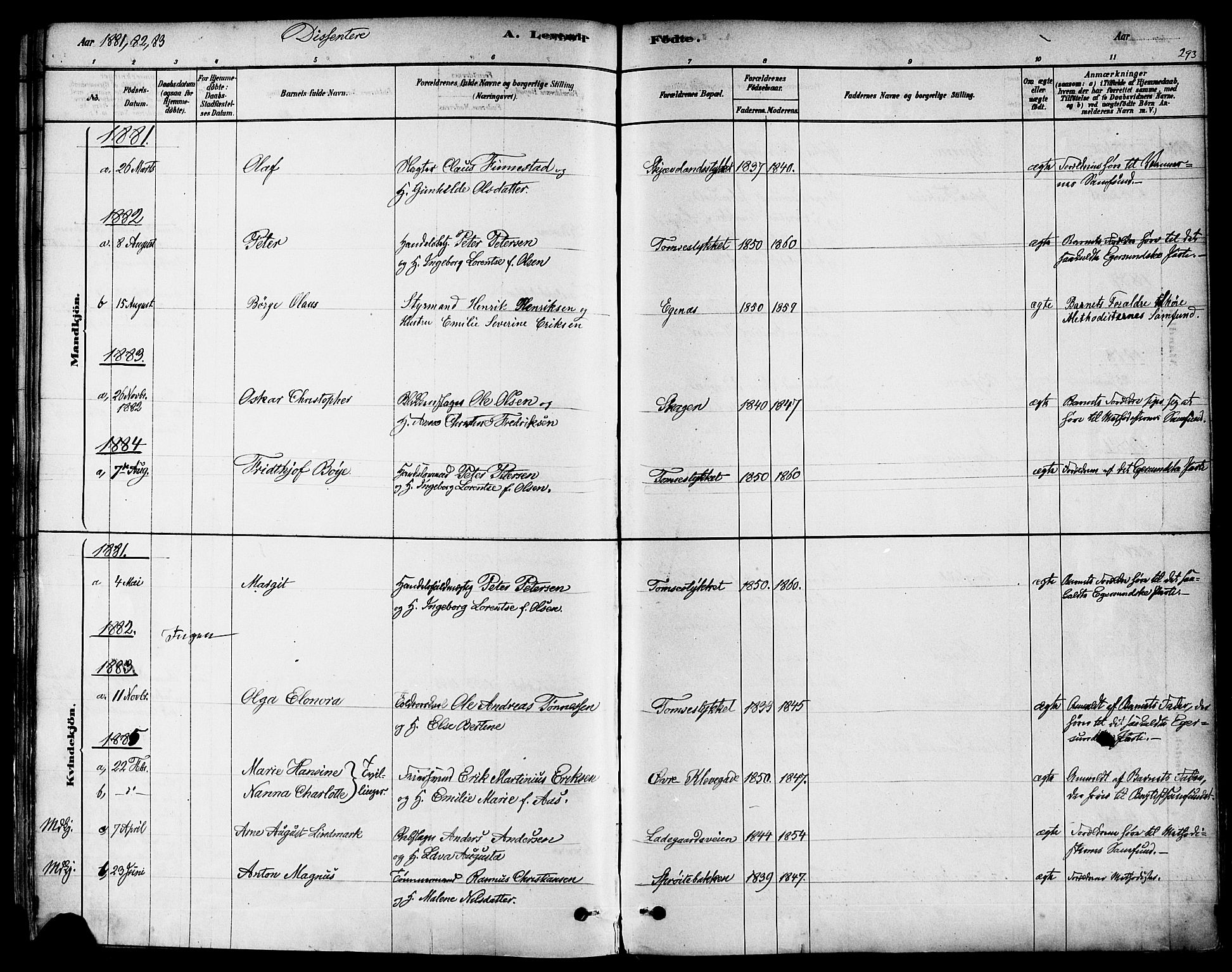 Domkirken sokneprestkontor, SAST/A-101812/001/30/30BA/L0026: Parish register (official) no. A 25, 1878-1889, p. 293
