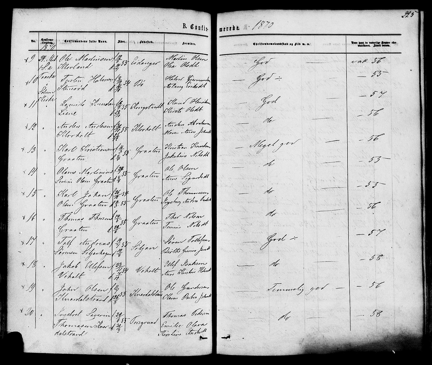 Solum kirkebøker, AV/SAKO-A-306/F/Fa/L0008: Parish register (official) no. I 8, 1865-1876, p. 225