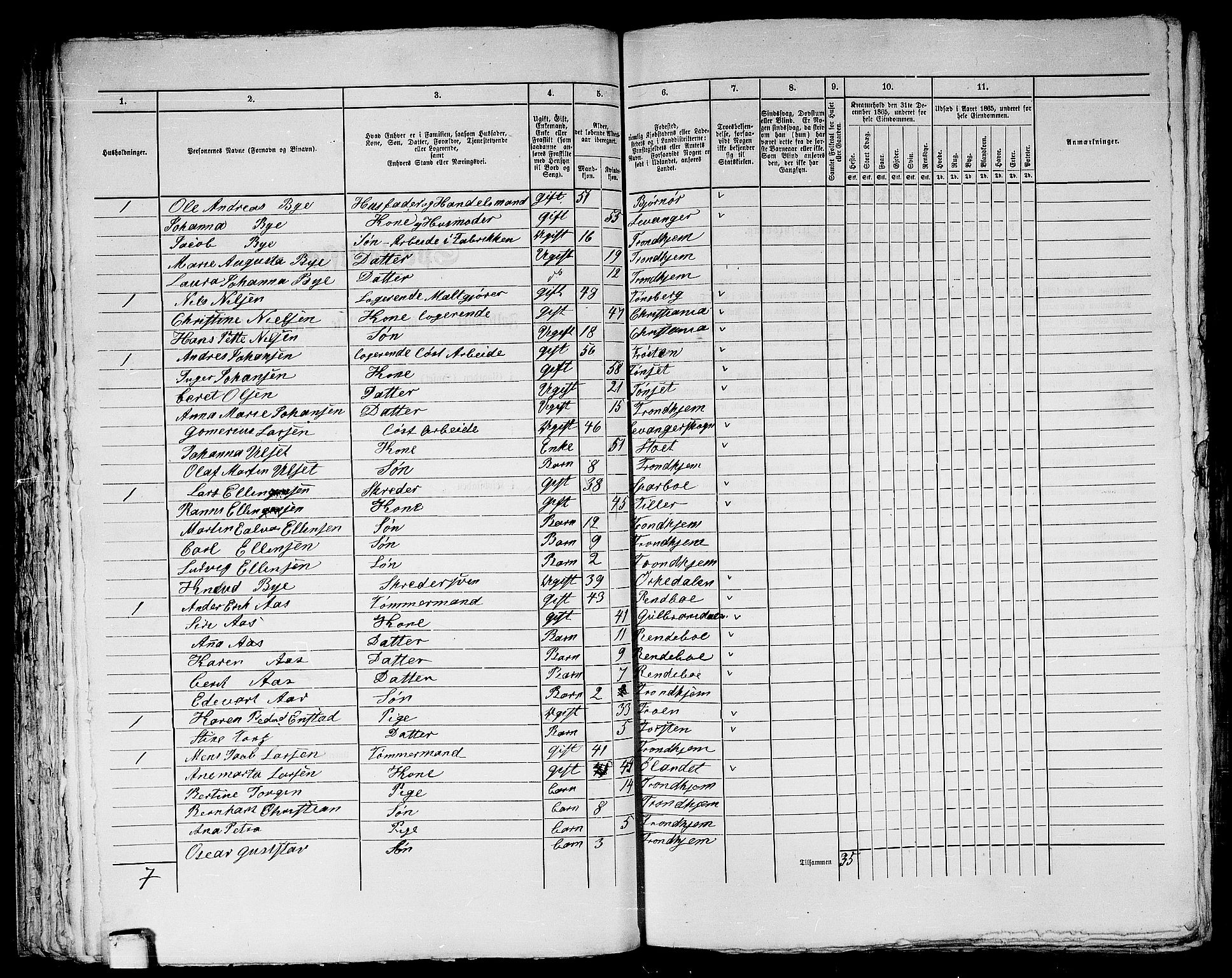 RA, 1865 census for Trondheim, 1865, p. 620