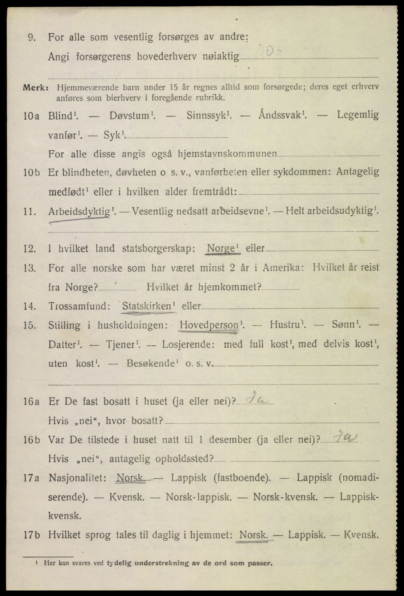 SAT, 1920 census for Bø, 1920, p. 4325