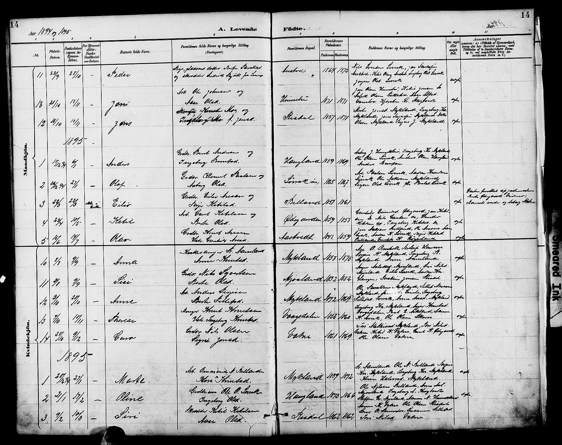 Herefoss sokneprestkontor, AV/SAK-1111-0019/F/Fb/Fbc/L0003: Parish register (copy) no. B 3, 1887-1915, p. 14