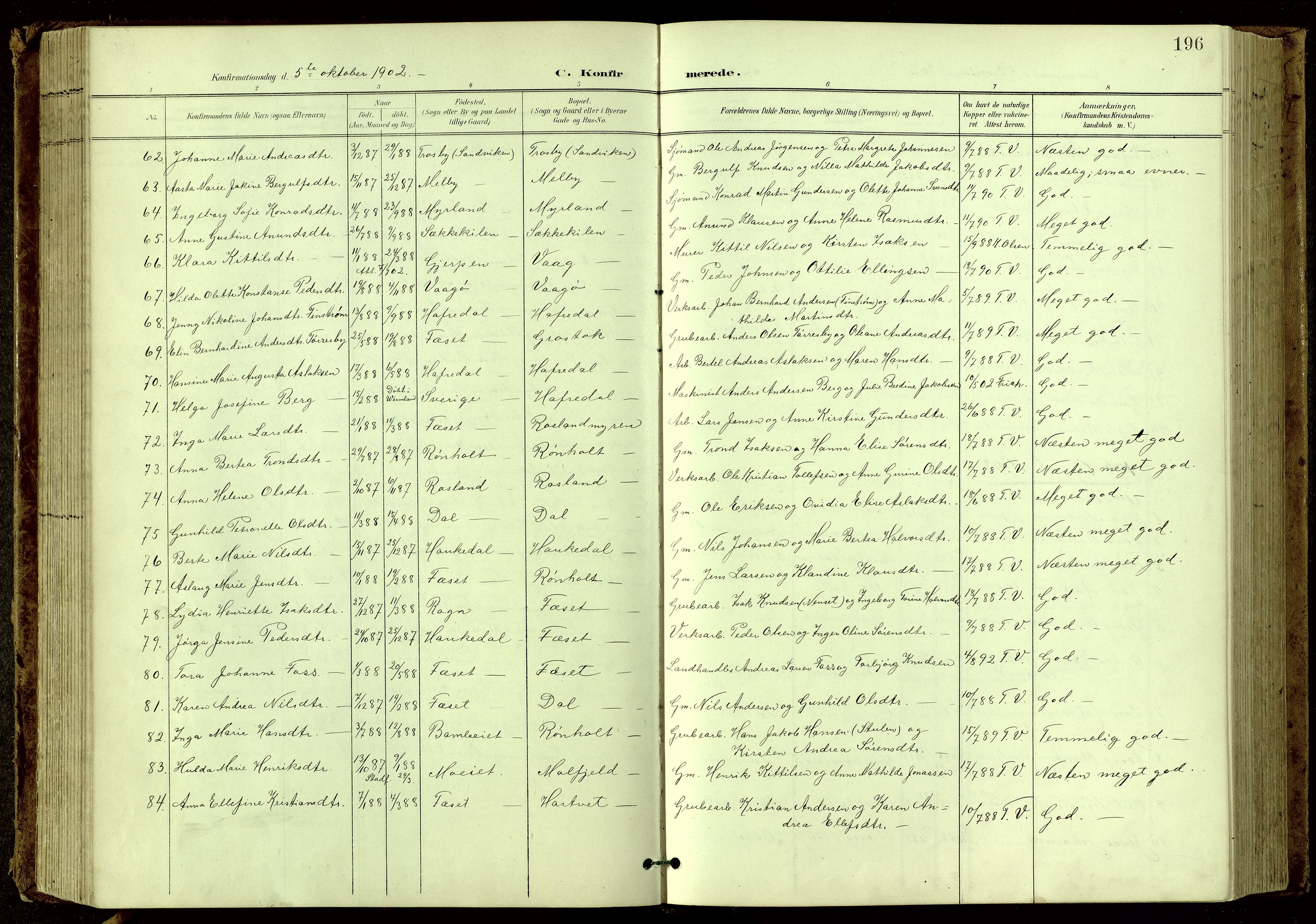 Bamble kirkebøker, SAKO/A-253/G/Ga/L0010: Parish register (copy) no. I 10, 1901-1919, p. 196