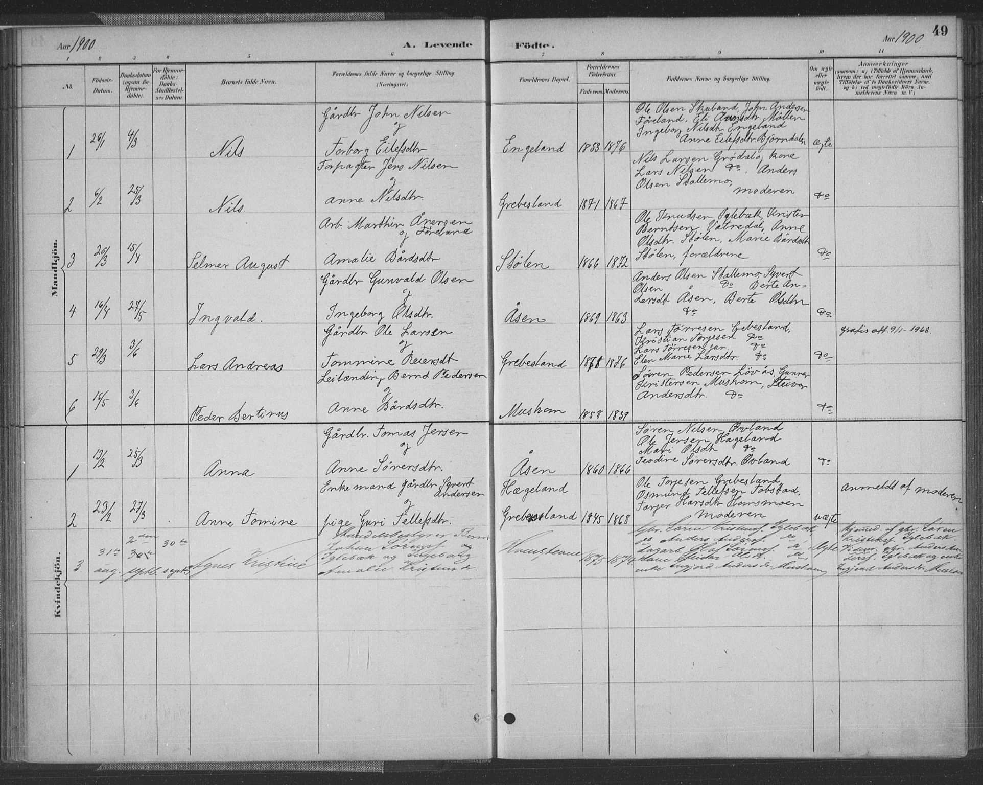 Vennesla sokneprestkontor, AV/SAK-1111-0045/Fa/Fac/L0009: Parish register (official) no. A 9, 1884-1901, p. 49