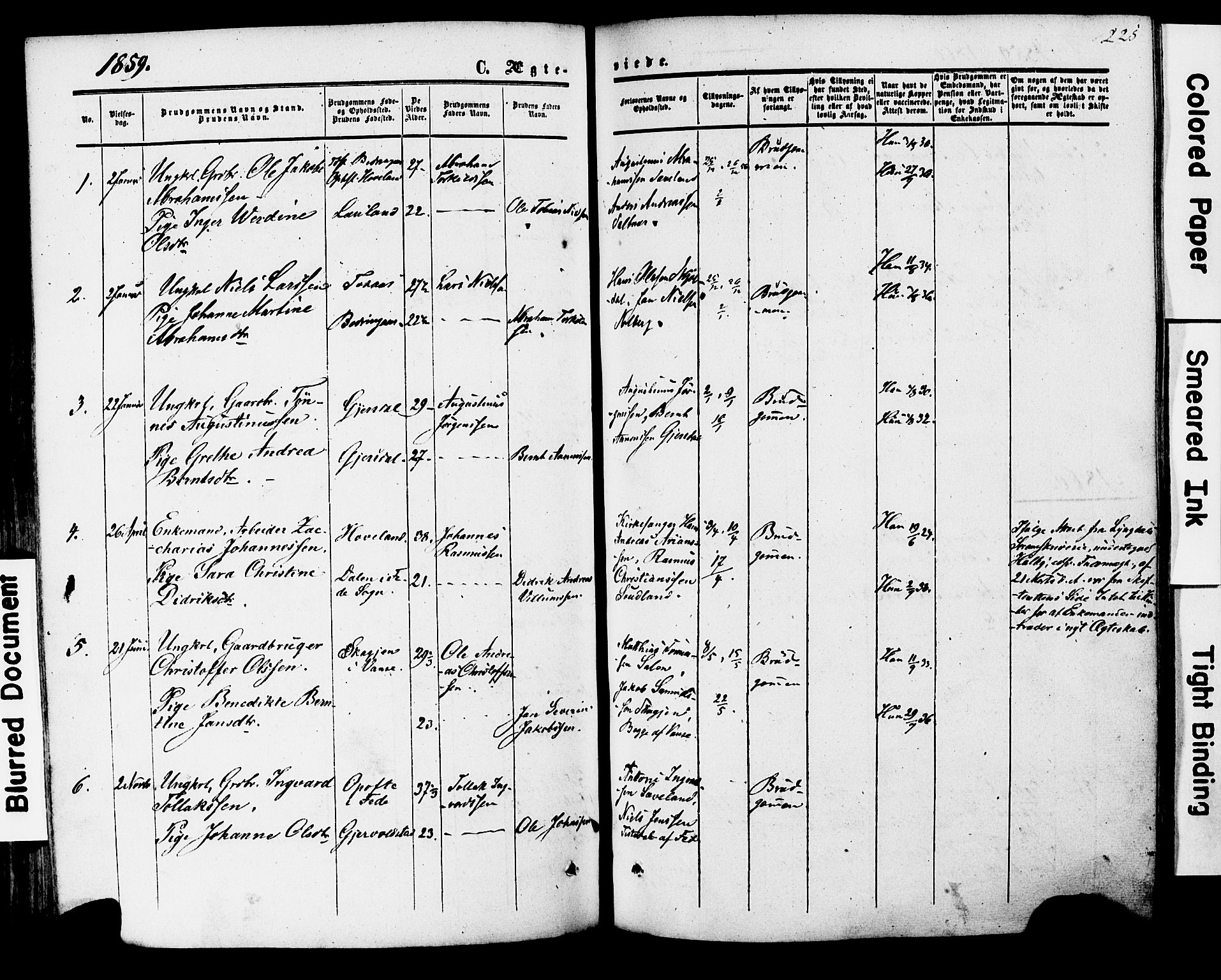 Herad sokneprestkontor, AV/SAK-1111-0018/F/Fa/Faa/L0005: Parish register (official) no. A 5, 1853-1886, p. 225