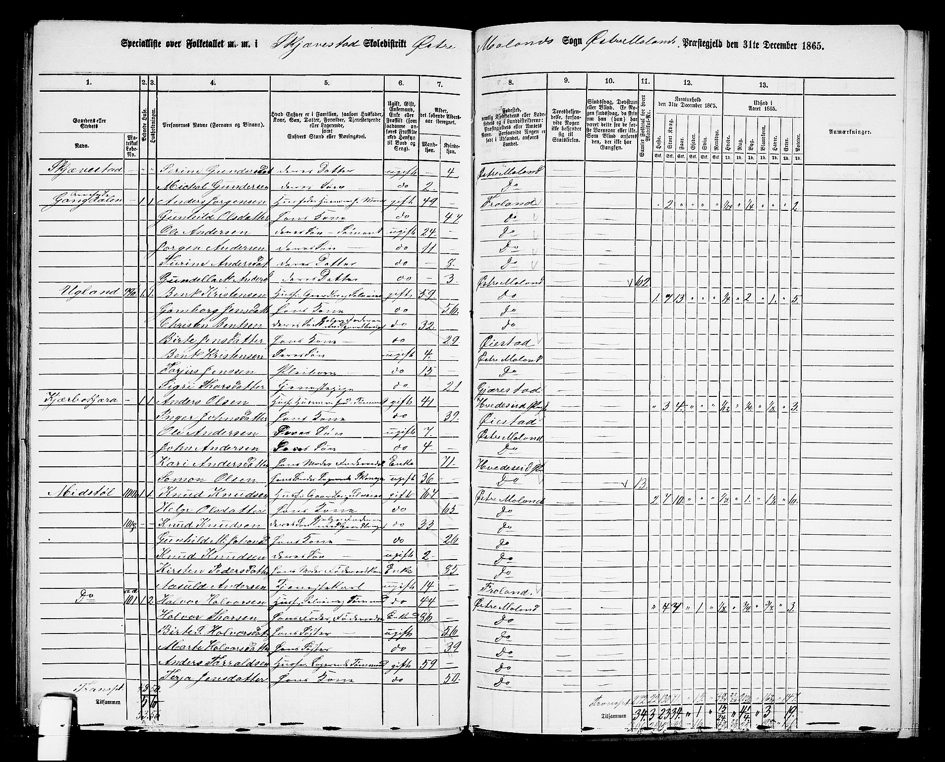 RA, 1865 census for Austre Moland, 1865, p. 317