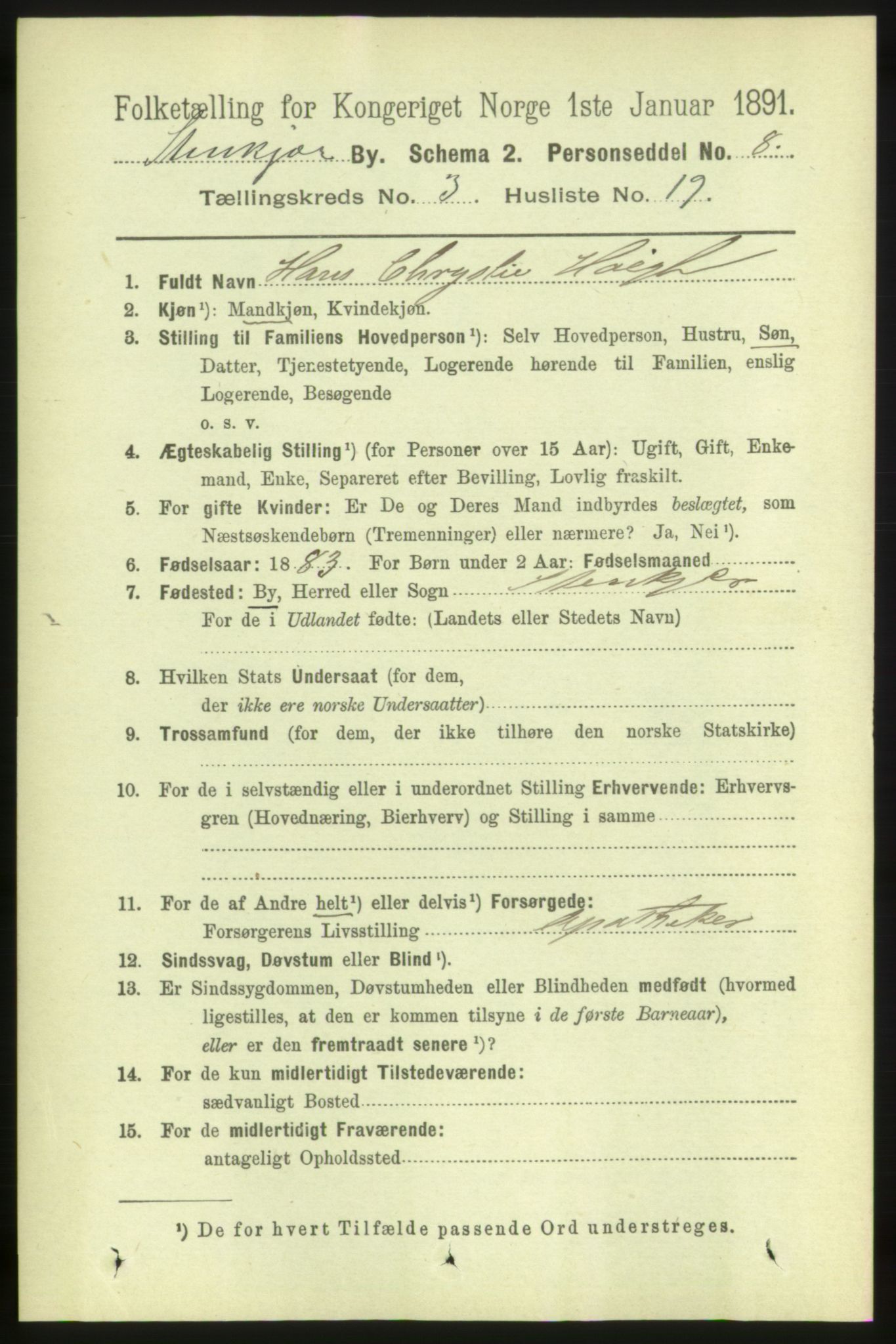 RA, 1891 census for 1702 Steinkjer, 1891, p. 1020