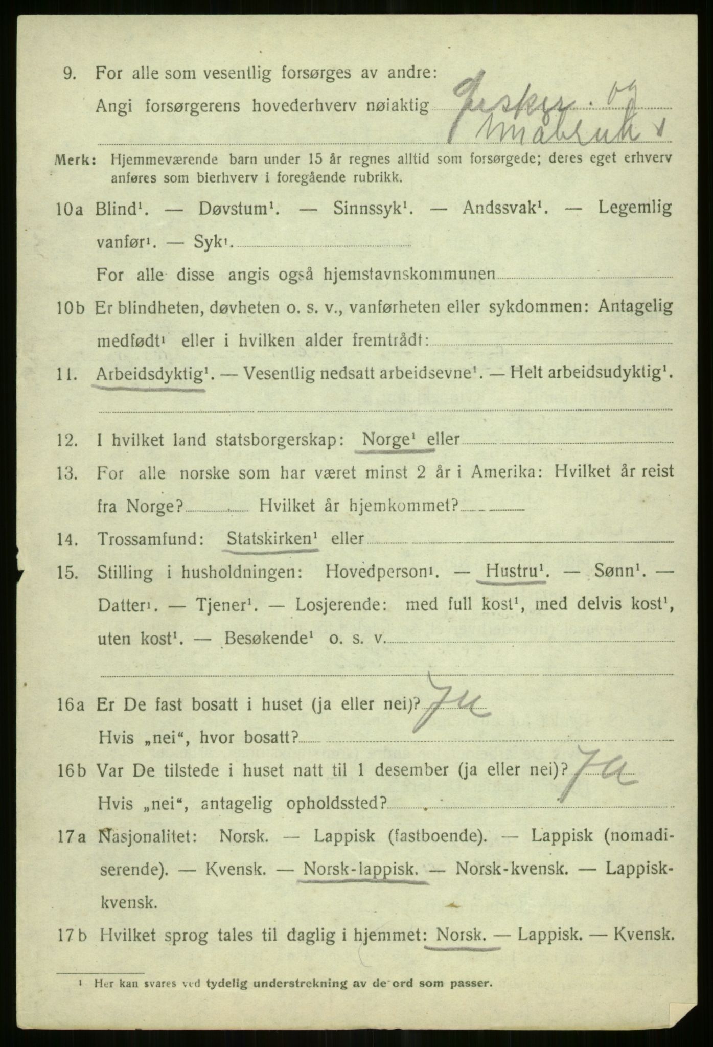 SATØ, 1920 census for Tromsøysund, 1920, p. 11619