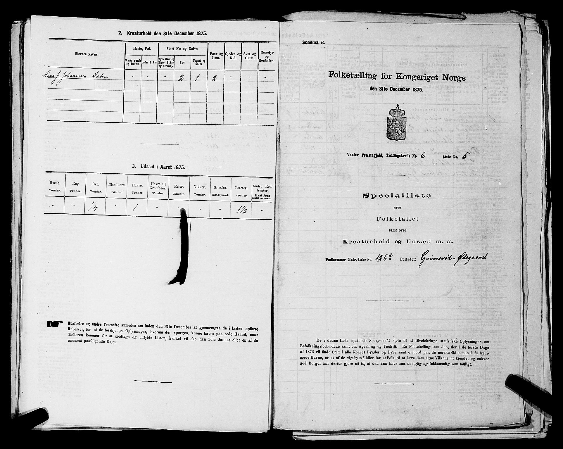 RA, 1875 census for 0137P Våler, 1875, p. 857