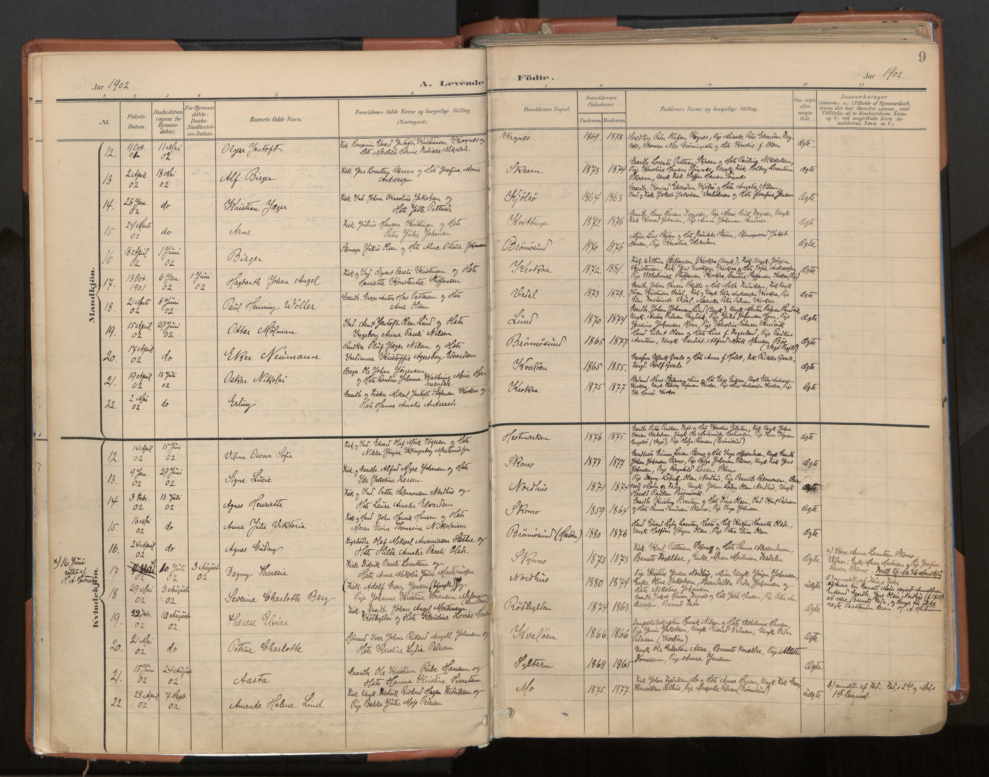 Ministerialprotokoller, klokkerbøker og fødselsregistre - Nordland, SAT/A-1459/813/L0201: Parish register (official) no. 813A11, 1901-1918, p. 9