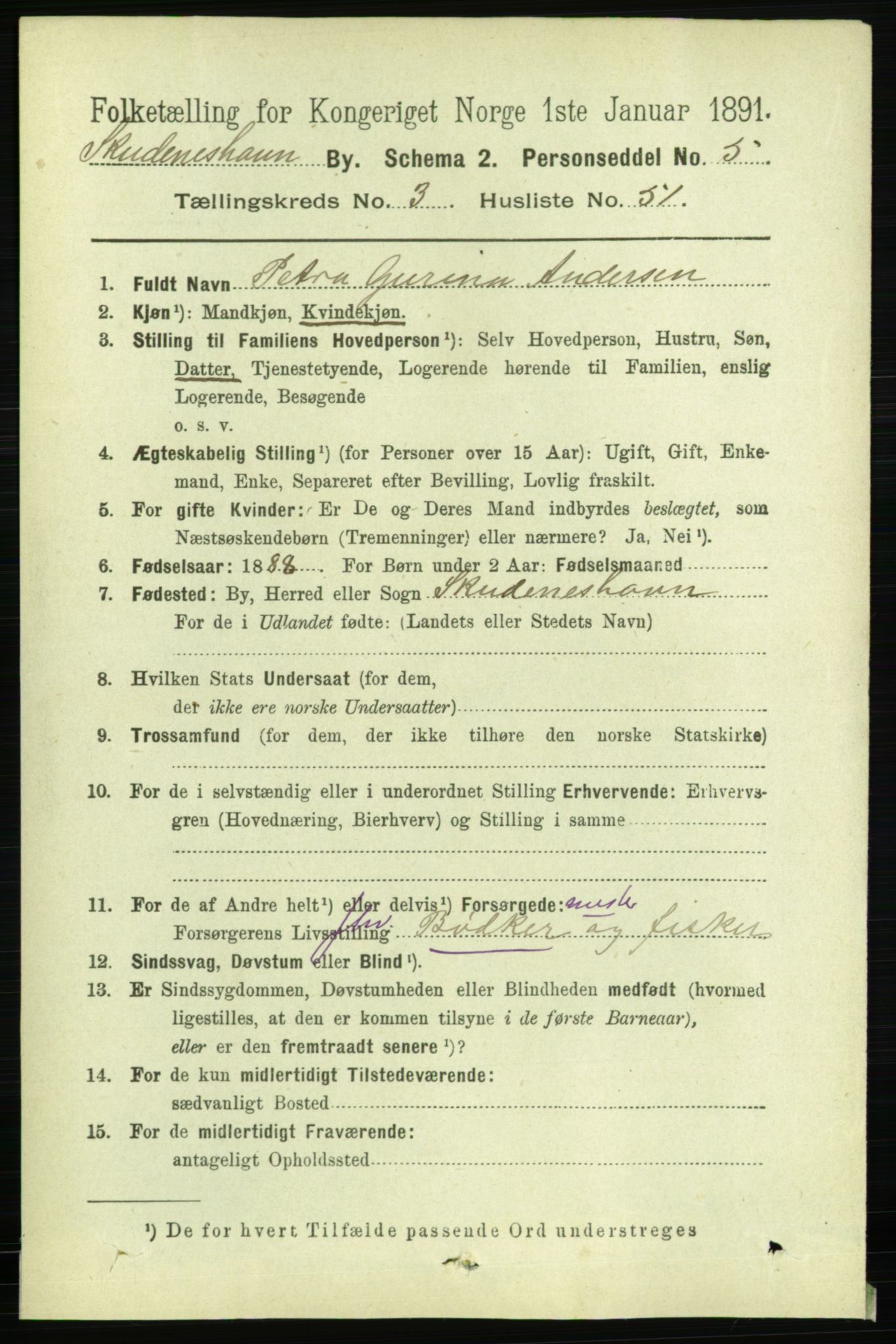 RA, 1891 census for 1104 Skudeneshavn, 1891, p. 1333