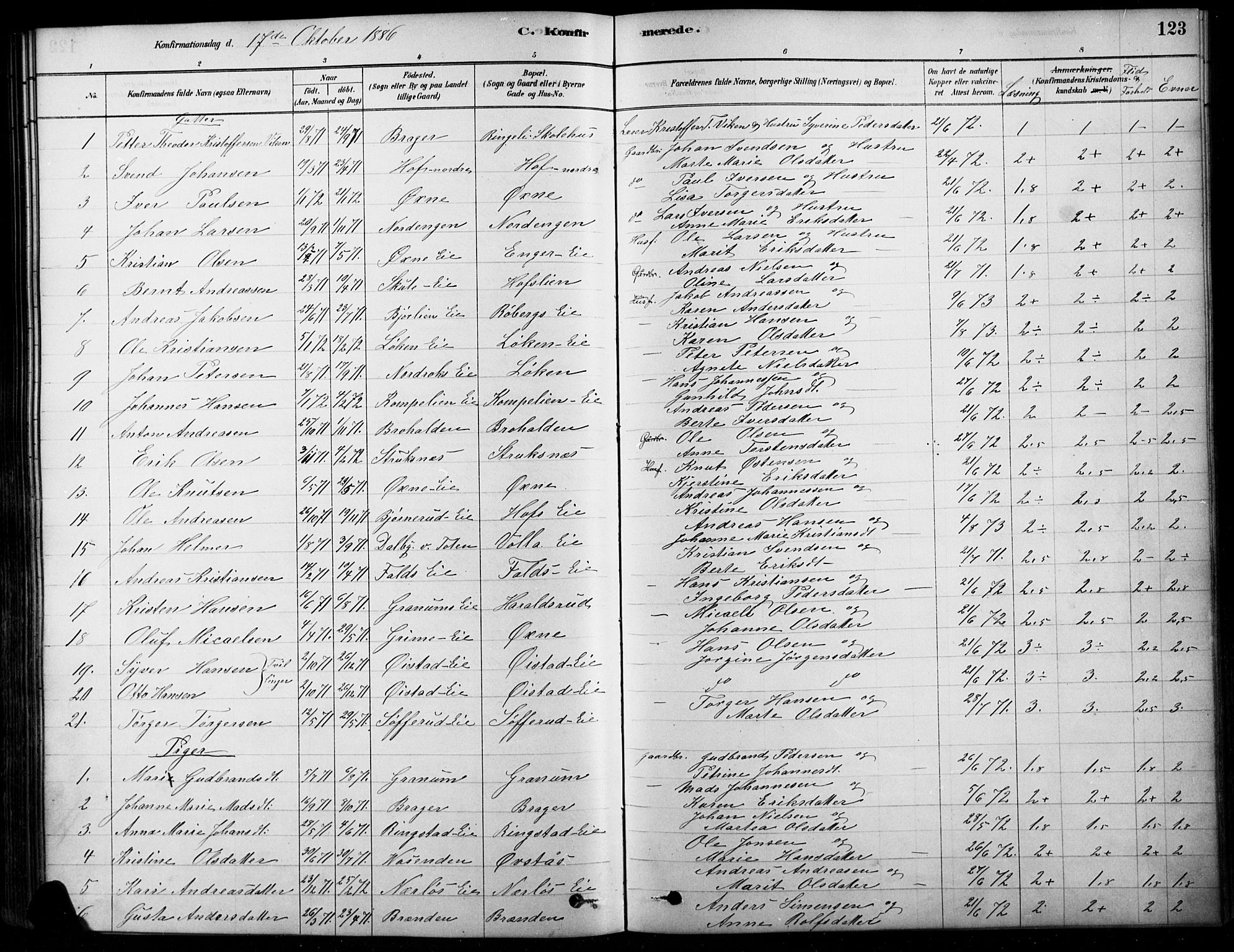 Søndre Land prestekontor, AV/SAH-PREST-122/K/L0003: Parish register (official) no. 3, 1878-1894, p. 123