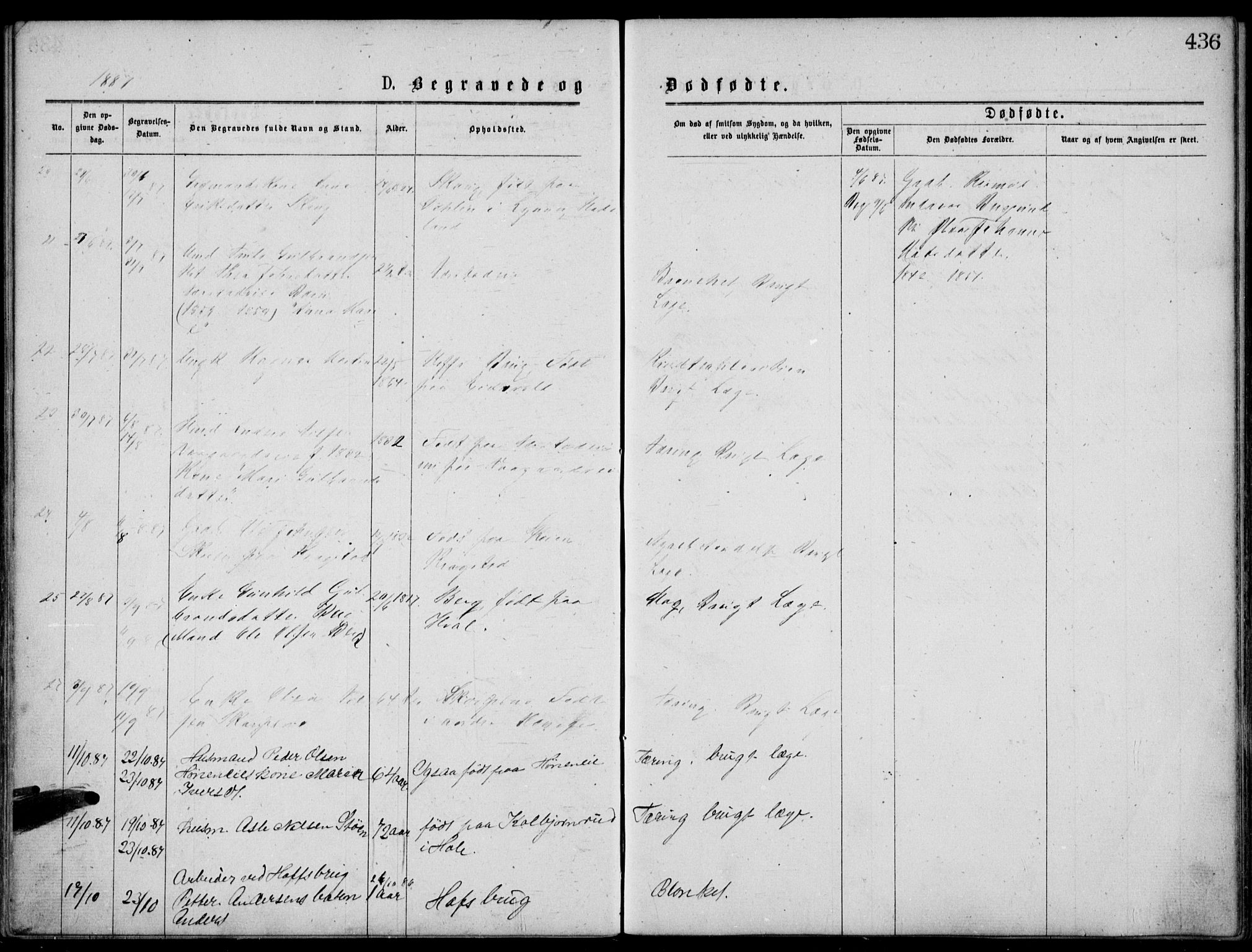 Norderhov kirkebøker, AV/SAKO-A-237/G/Gb/L0001: Parish register (copy) no. II 1, 1876-1899, p. 436