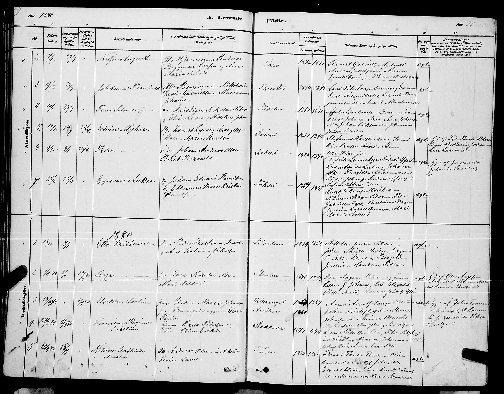 Ministerialprotokoller, klokkerbøker og fødselsregistre - Nordland, AV/SAT-A-1459/834/L0513: Parish register (copy) no. 834C04, 1877-1892, p. 36