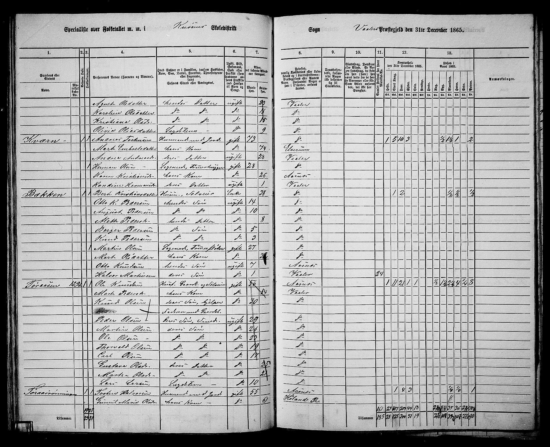 RA, 1865 census for Våler, 1865, p. 72