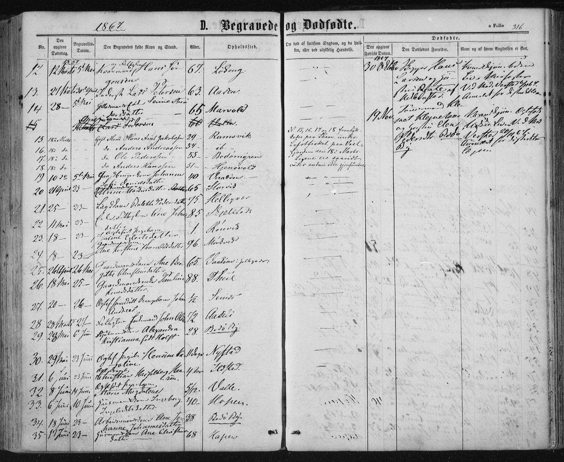 Ministerialprotokoller, klokkerbøker og fødselsregistre - Nordland, SAT/A-1459/801/L0008: Parish register (official) no. 801A08, 1864-1875, p. 316