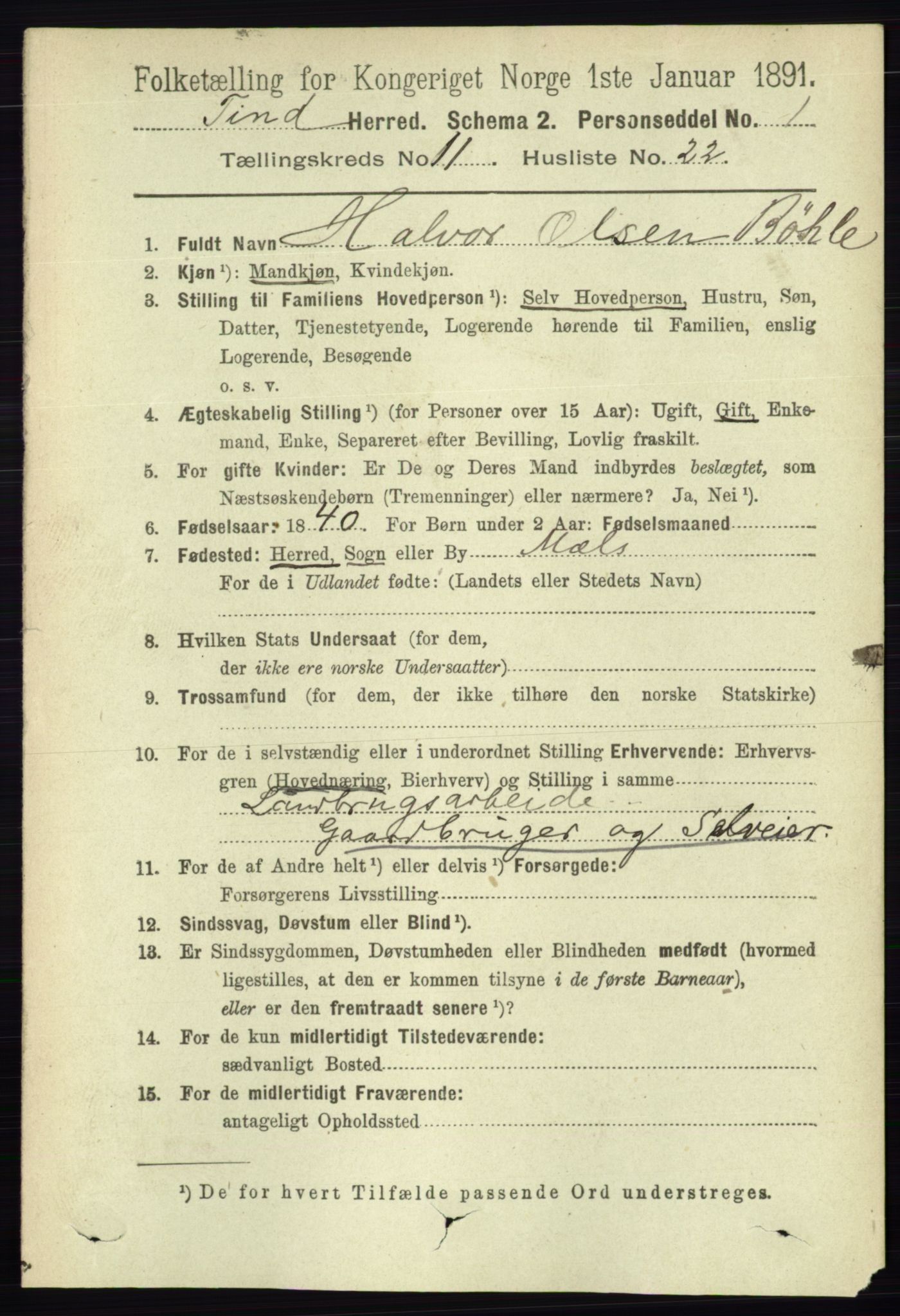 RA, 1891 census for 0826 Tinn, 1891, p. 2232