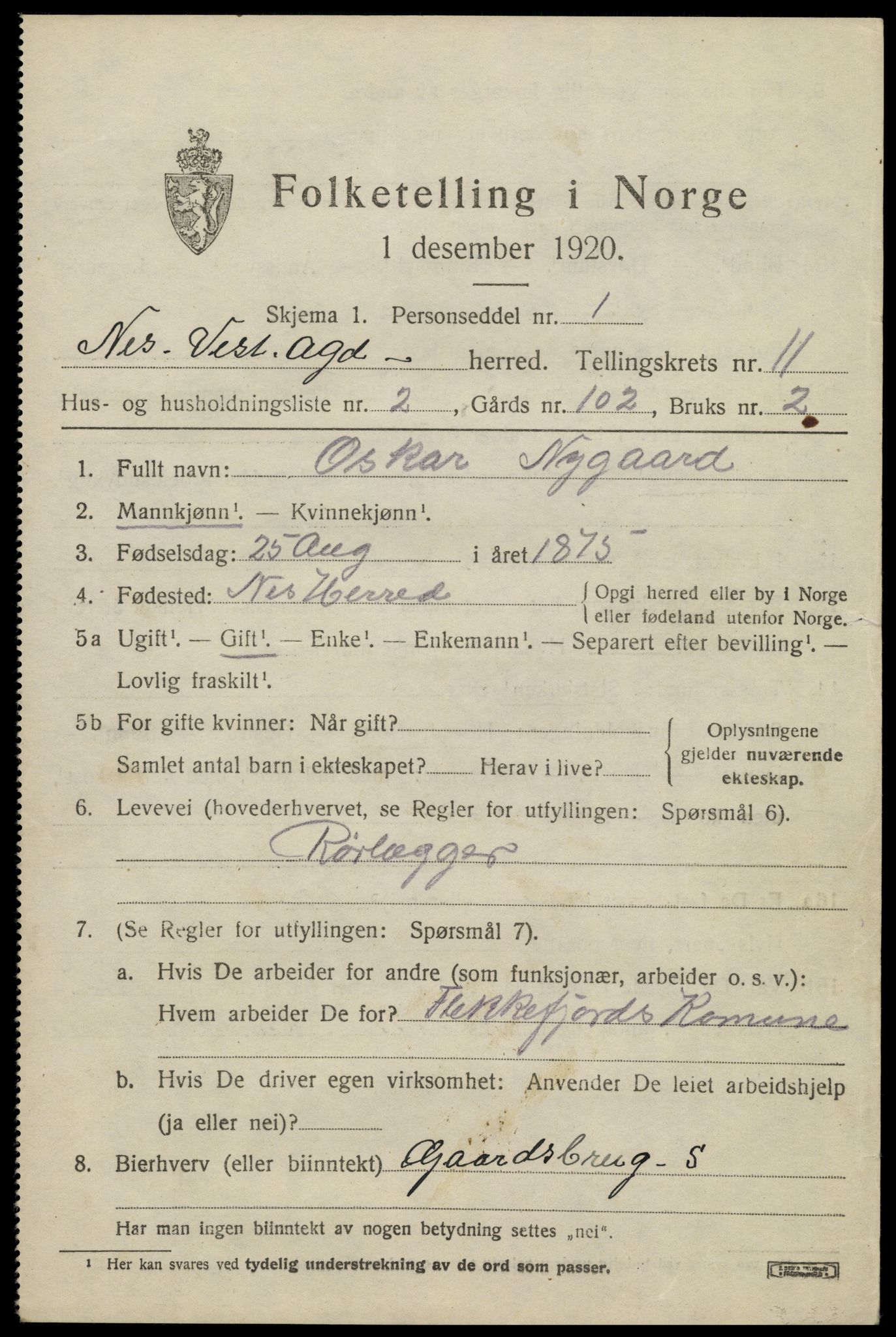 SAK, 1920 census for Nes (V-A), 1920, p. 3970