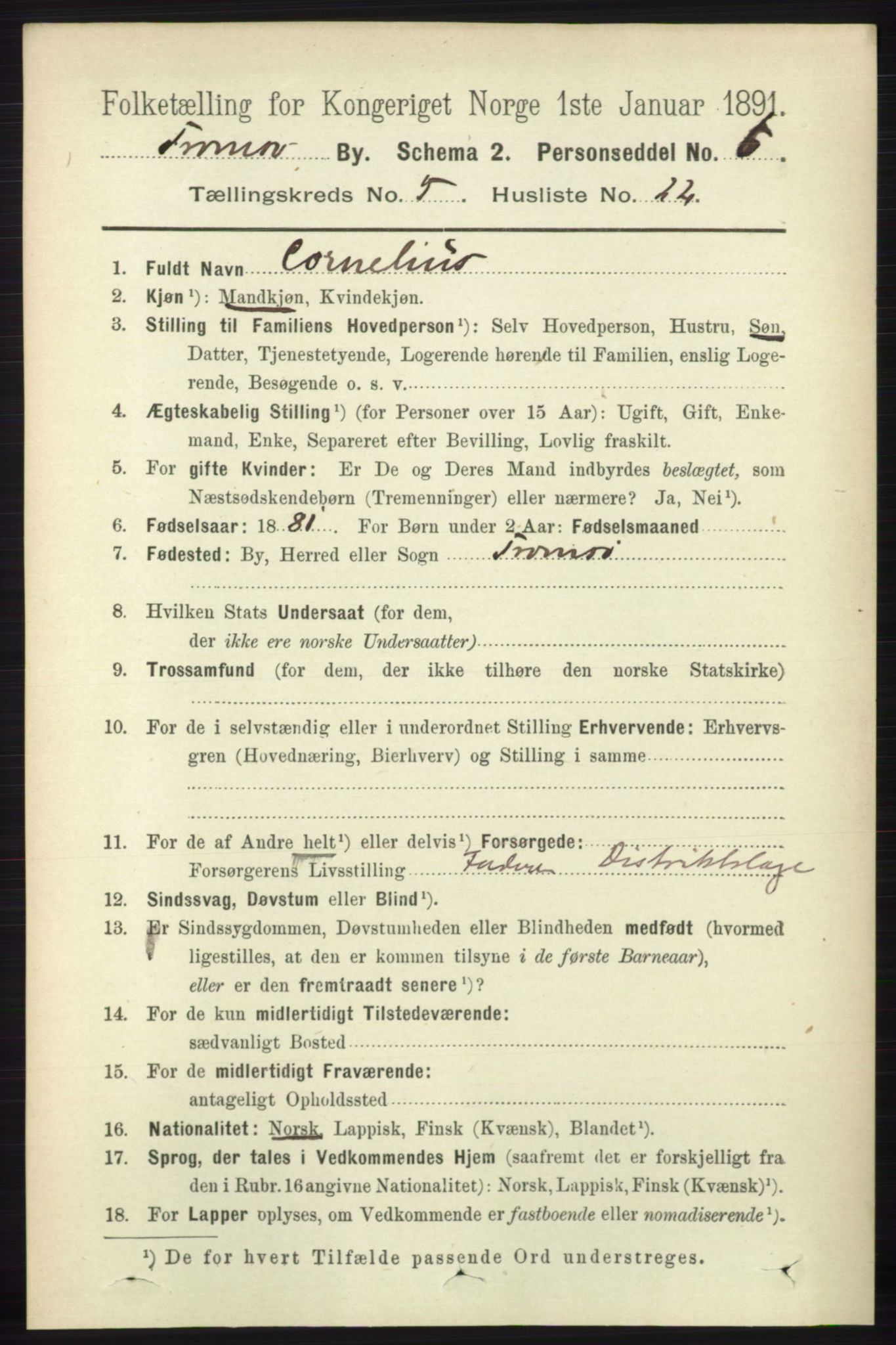 RA, 1891 census for 1902 Tromsø, 1891, p. 5130