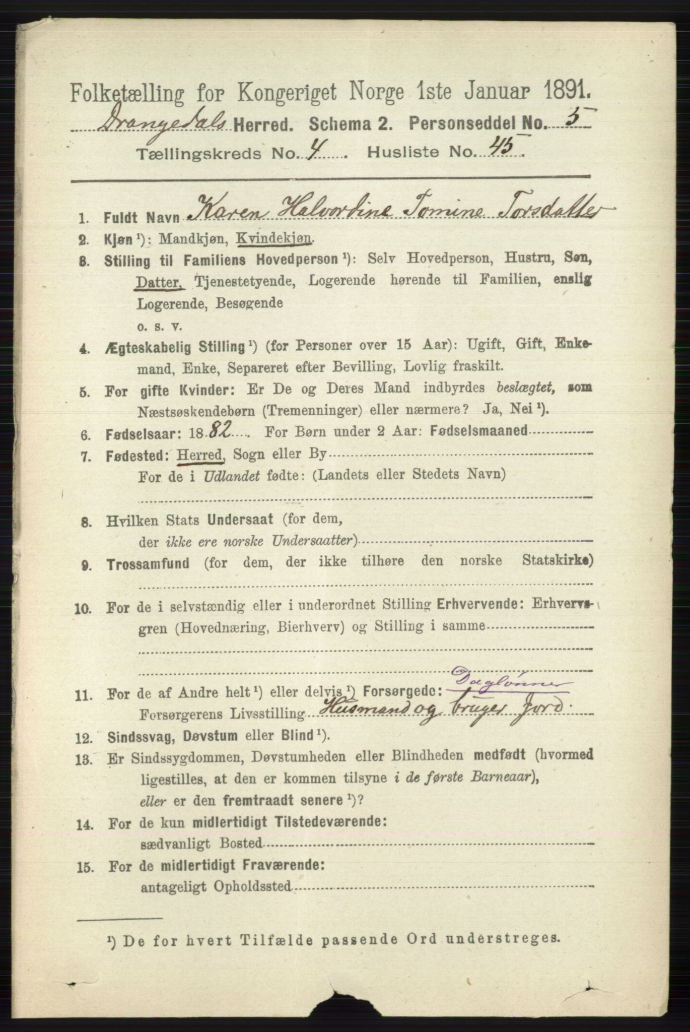 RA, 1891 census for 0817 Drangedal, 1891, p. 1615