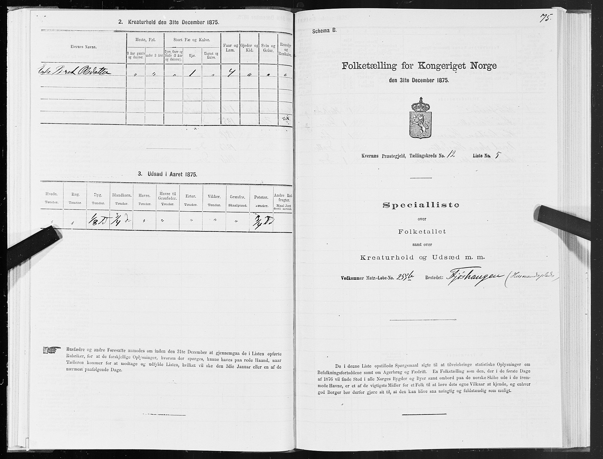 SAT, 1875 census for 1553P Kvernes, 1875, p. 6075