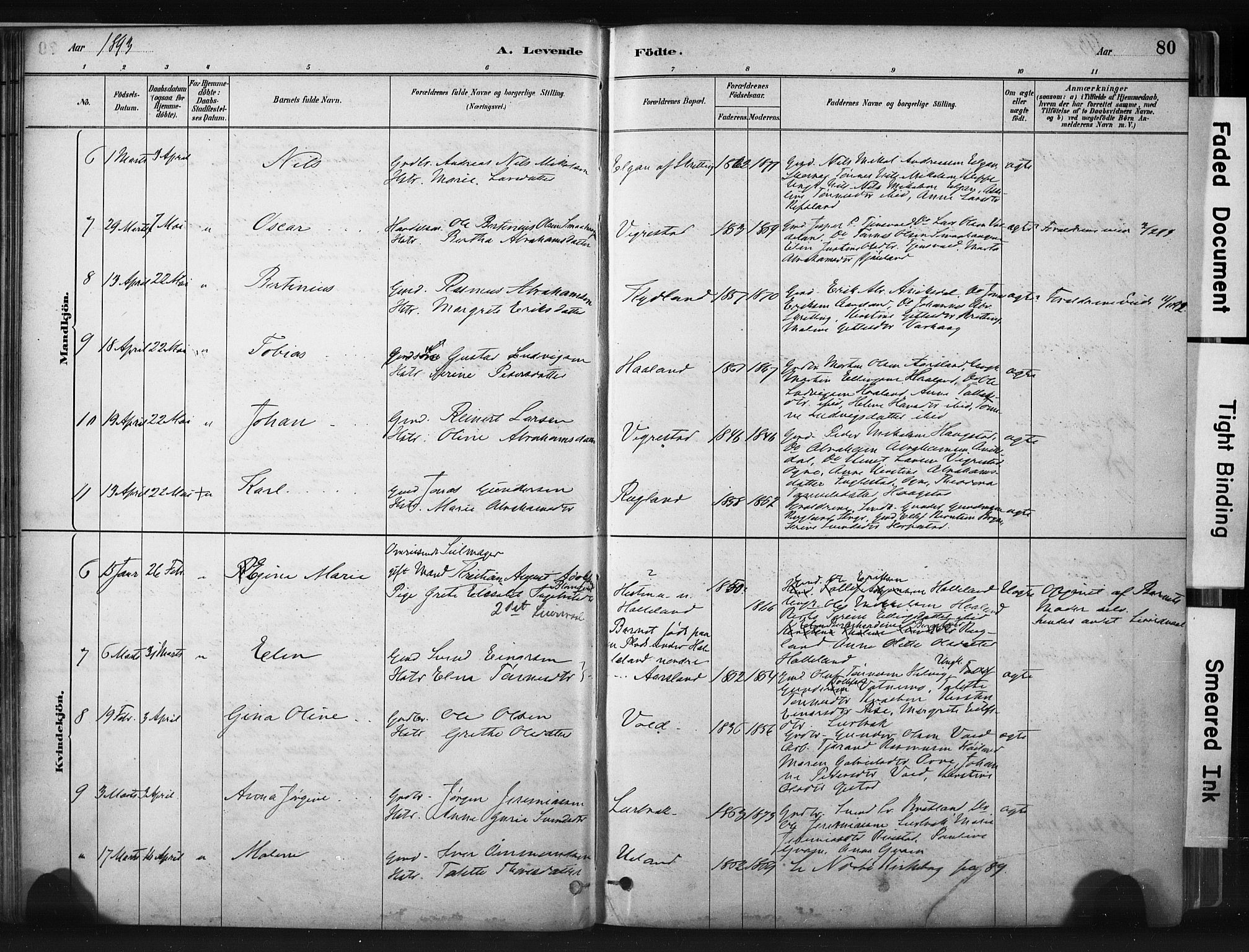 Hå sokneprestkontor, AV/SAST-A-101801/001/30BA/L0011: Parish register (official) no. A 10, 1879-1900, p. 80