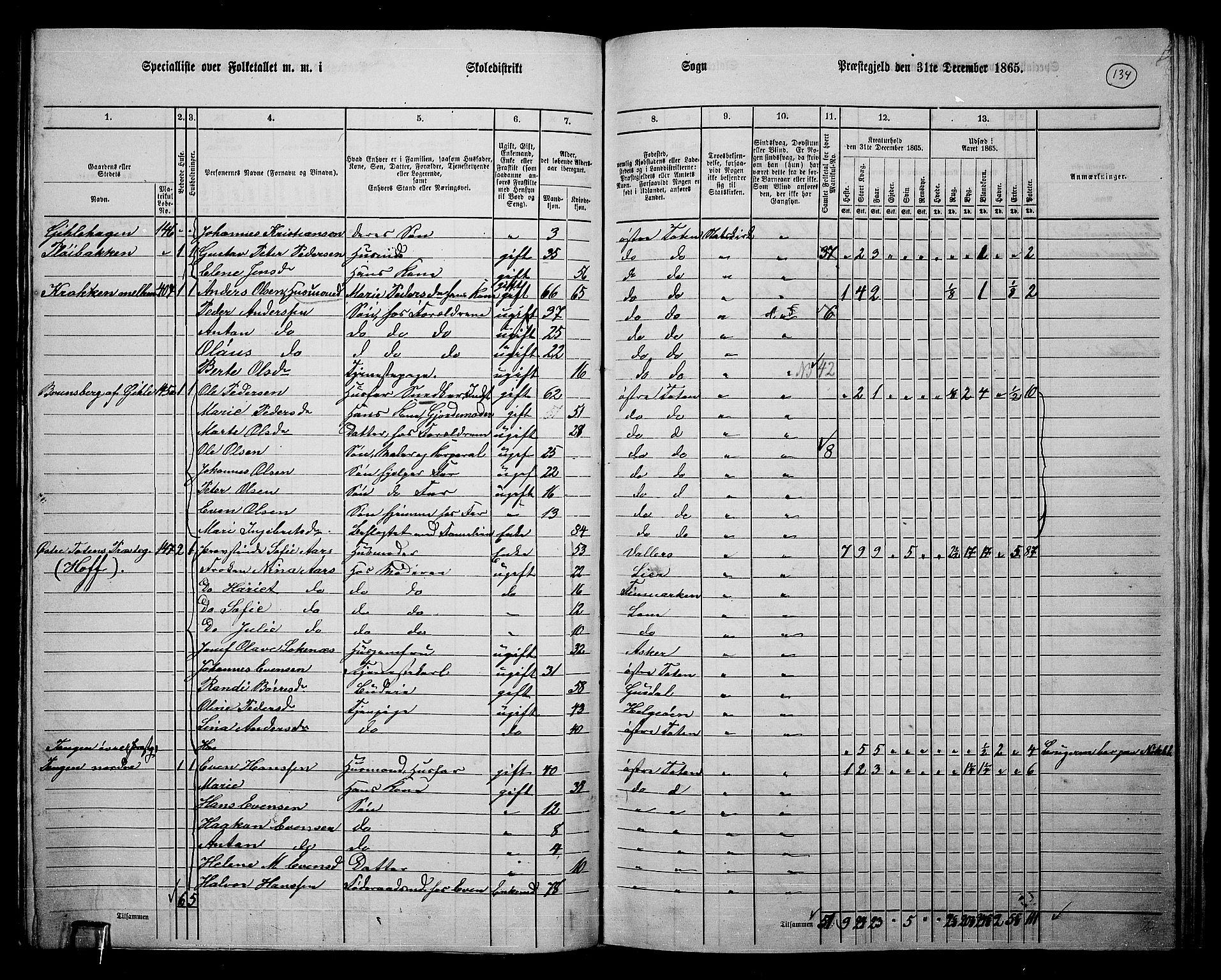 RA, 1865 census for Østre Toten, 1865, p. 250