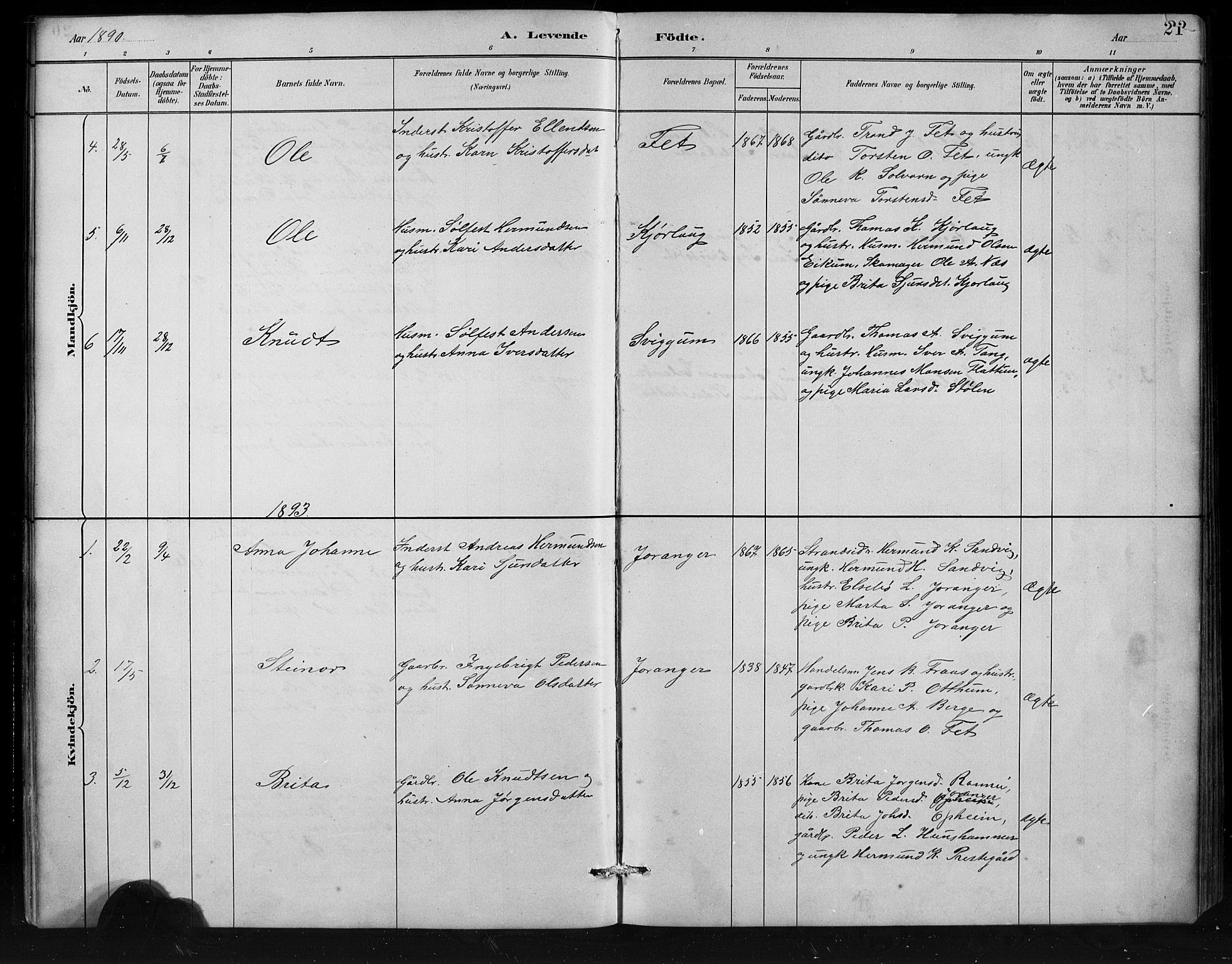 Jostedal sokneprestembete, SAB/A-80601/H/Hab/Habd/L0001: Parish register (copy) no. D 1, 1882-1910, p. 21