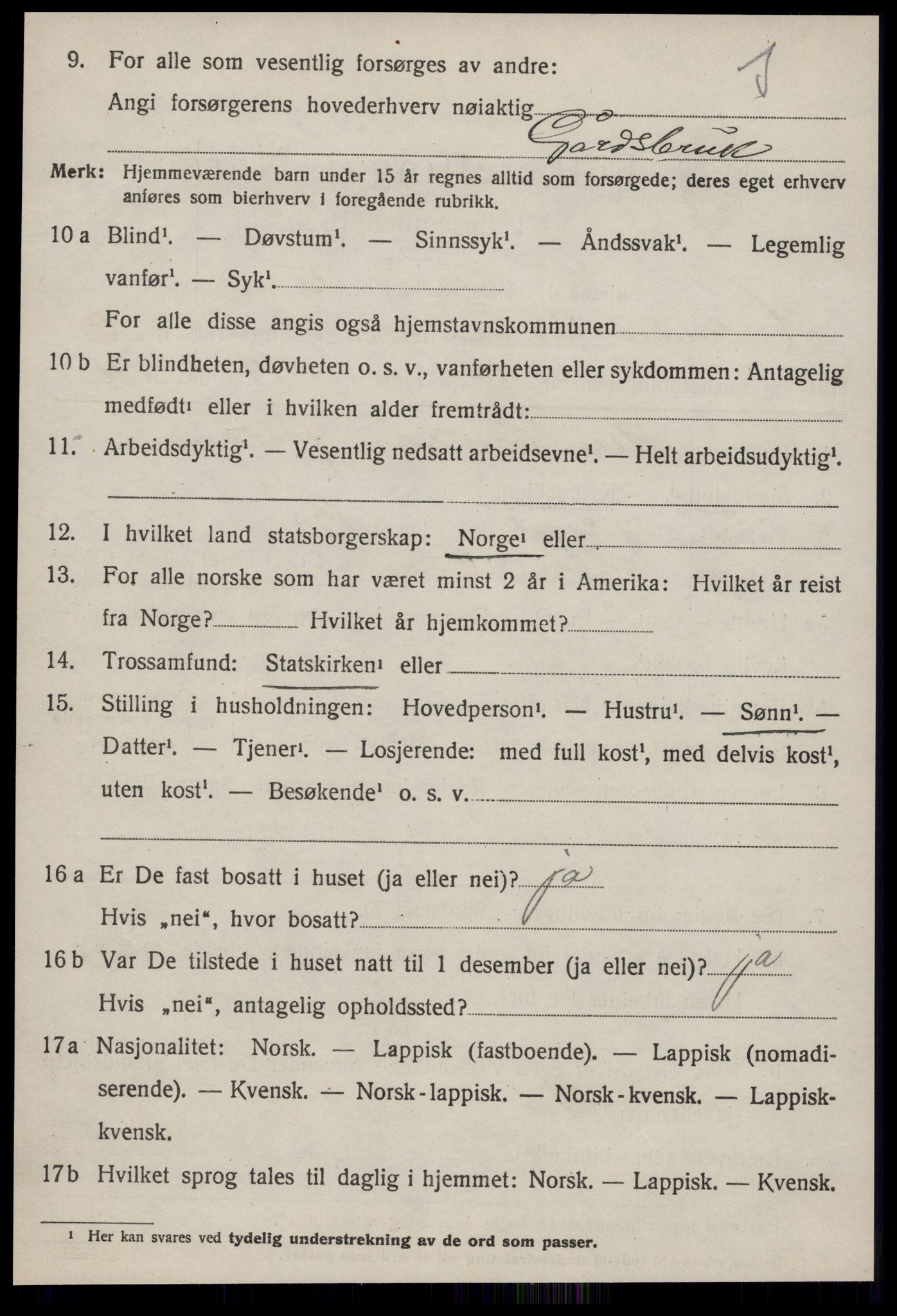 SAT, 1920 census for Hølonda, 1920, p. 1346