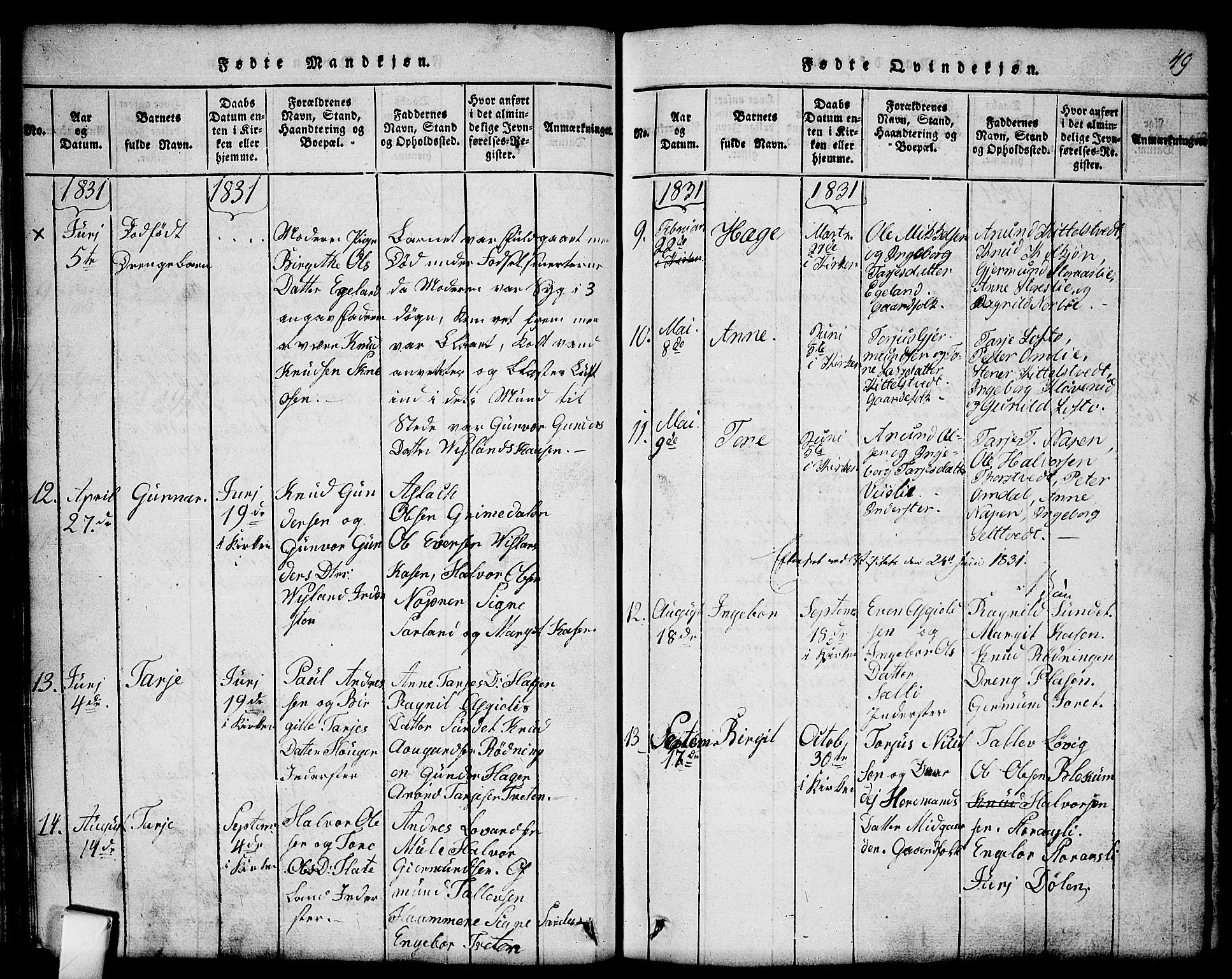 Mo kirkebøker, SAKO/A-286/G/Gb/L0001: Parish register (copy) no. II 1, 1814-1843, p. 49