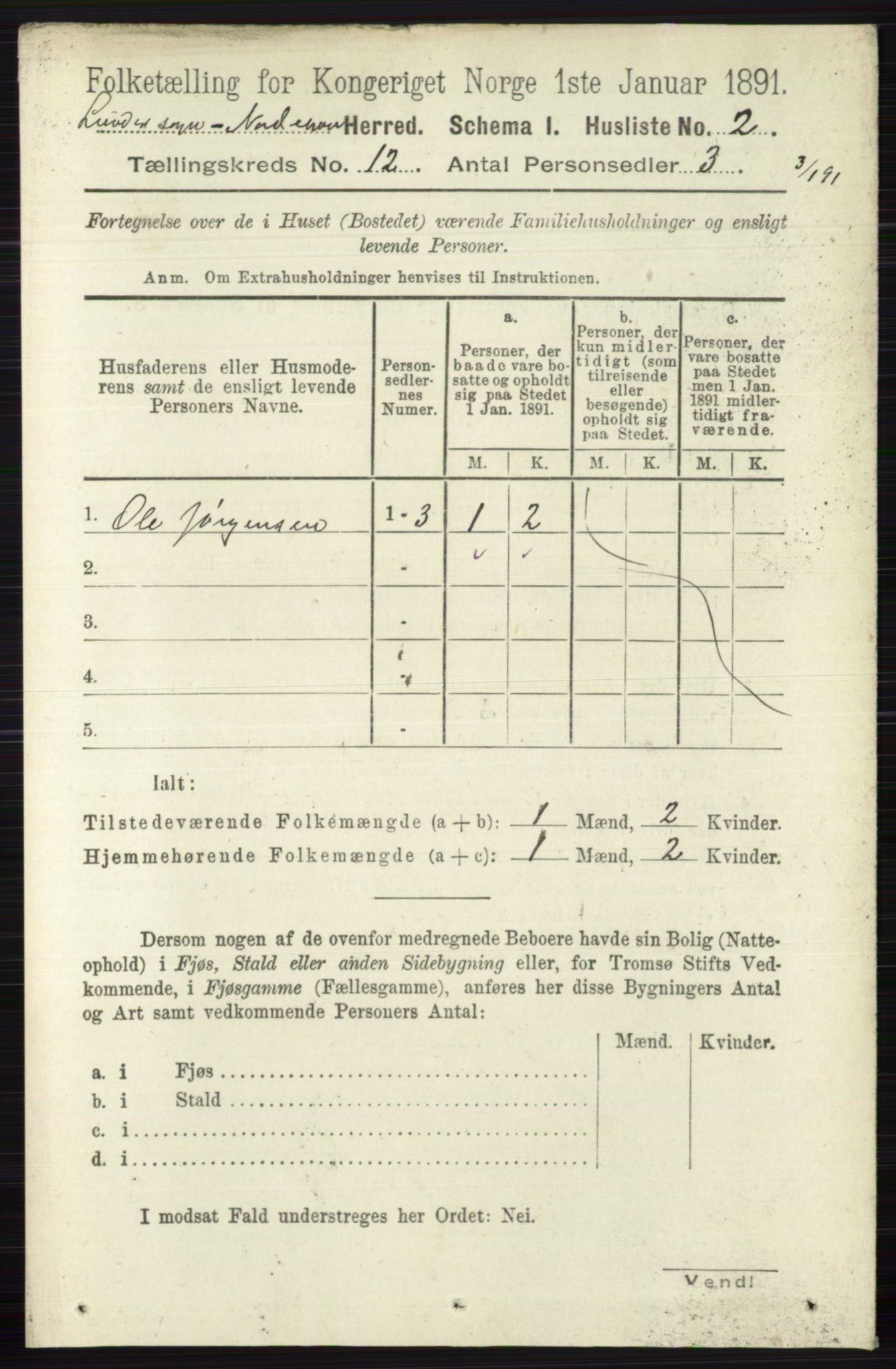 RA, 1891 census for 0613 Norderhov, 1891, p. 8489